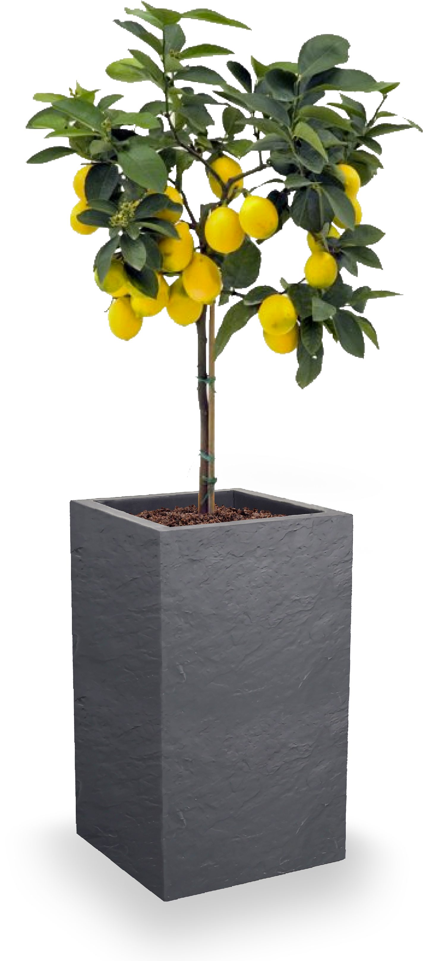 ONDIS24 Blumentopf Pflanzkübel Vulkan, 36L Pflanzvolumen, rechteckig, Blumenkasten, mit Wasserspeicher in Schieferoptik, Balkon Terrasse, Blumenkübel