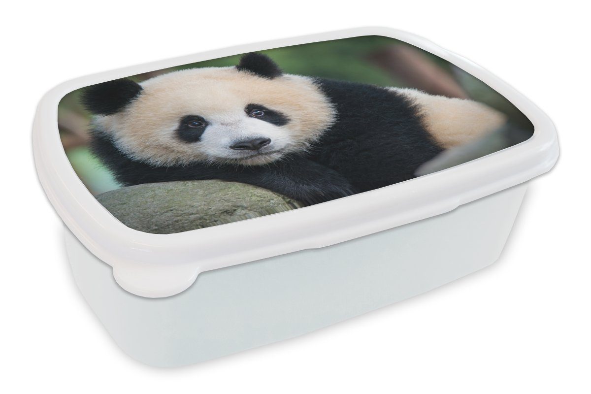 MuchoWow Lunchbox Panda - Wildtiere - Porträt - Stein, Kunststoff, (2-tlg), Brotbox für Kinder und Erwachsene, Brotdose, für Jungs und Mädchen weiß