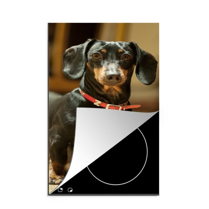MuchoWow Herdblende-/Abdeckplatte Porträt eines schwarzen Dackels Vinyl (1 tlg) Küchen Dekoration für Induktionsherd Induktionskochfeld