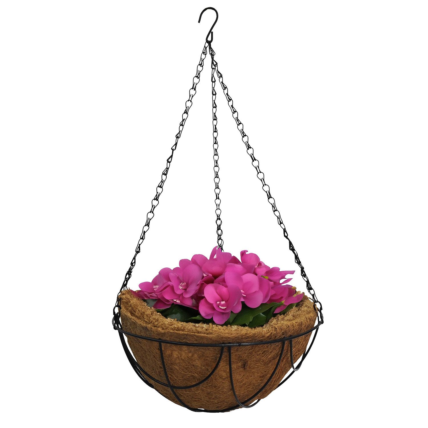 colourliving Blumenampel Hängeampel Blumenampel Kokosschale zum günstig online kaufen