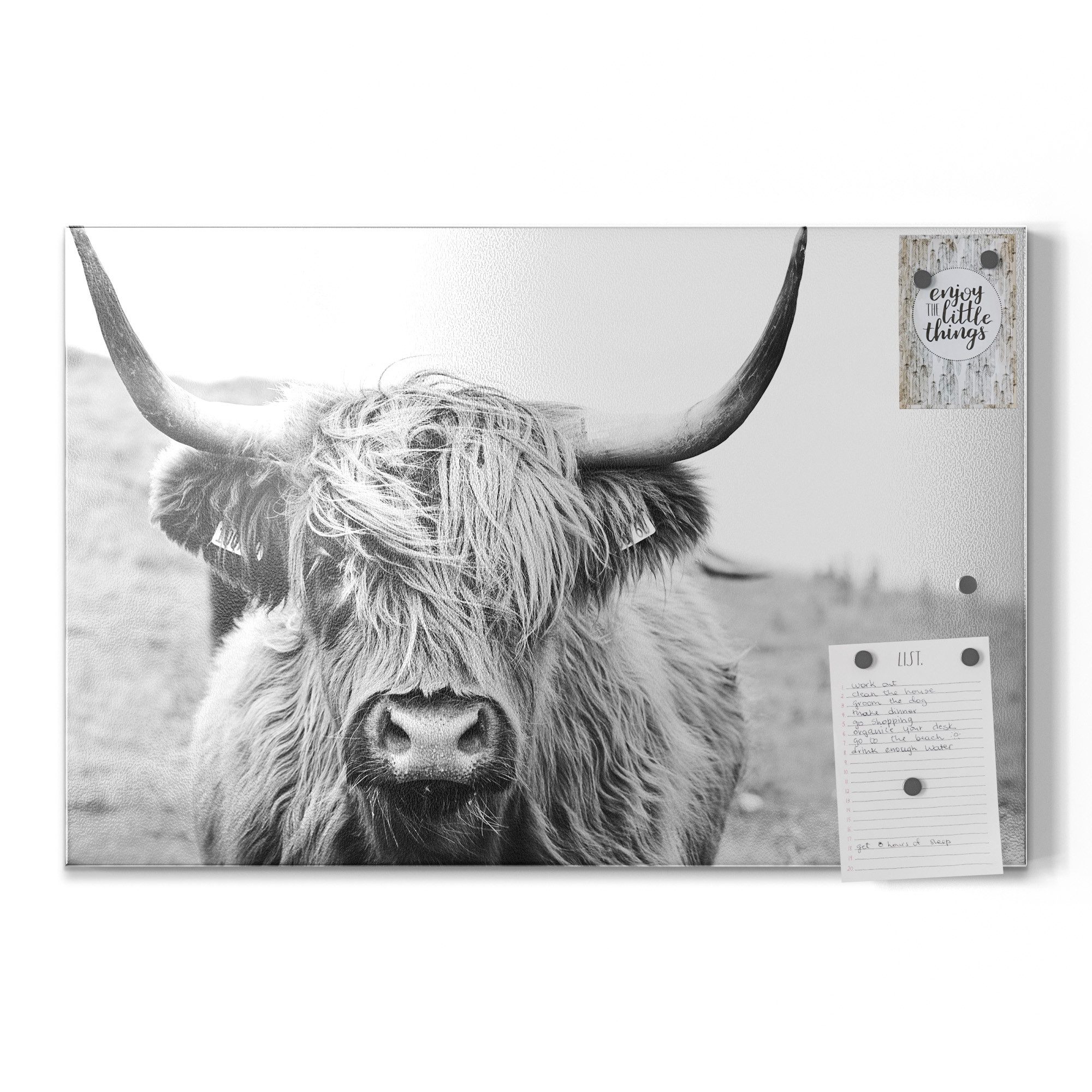 DEQORI Magnettafel 'Zotteliges Hochlandrind', Metall Whiteboard für alle Magnete, Magnetboard magnetisch