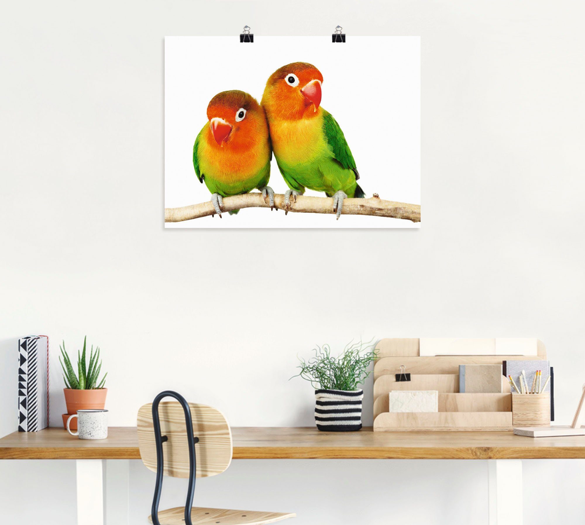 Artland Wandbild Paar von Grauköpfchen - Papageien, Vögel (1 St), als Leinwandbild, Poster in verschied. Größen