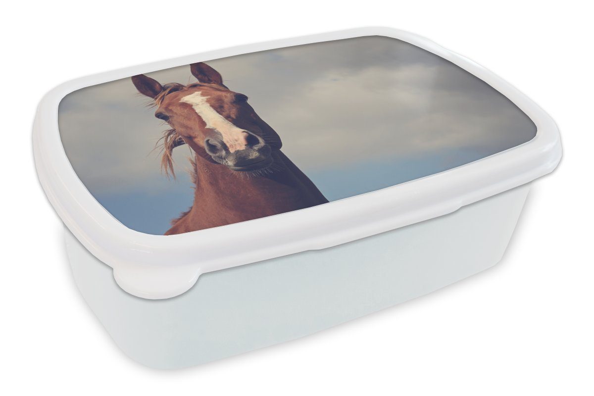 MuchoWow Lunchbox Pferd - Luft - Blau, Kunststoff, (2-tlg), Brotbox für Kinder und Erwachsene, Brotdose, für Jungs und Mädchen weiß | Lunchboxen