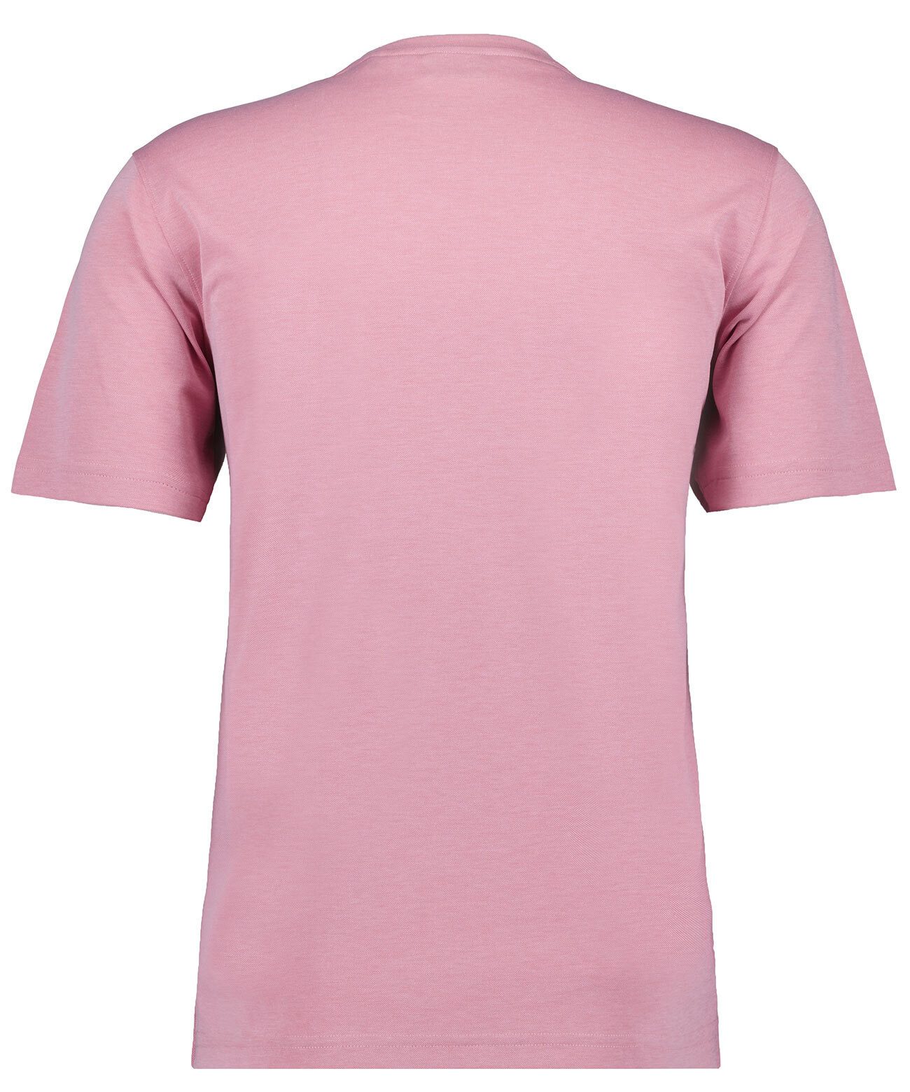 Rosa-609