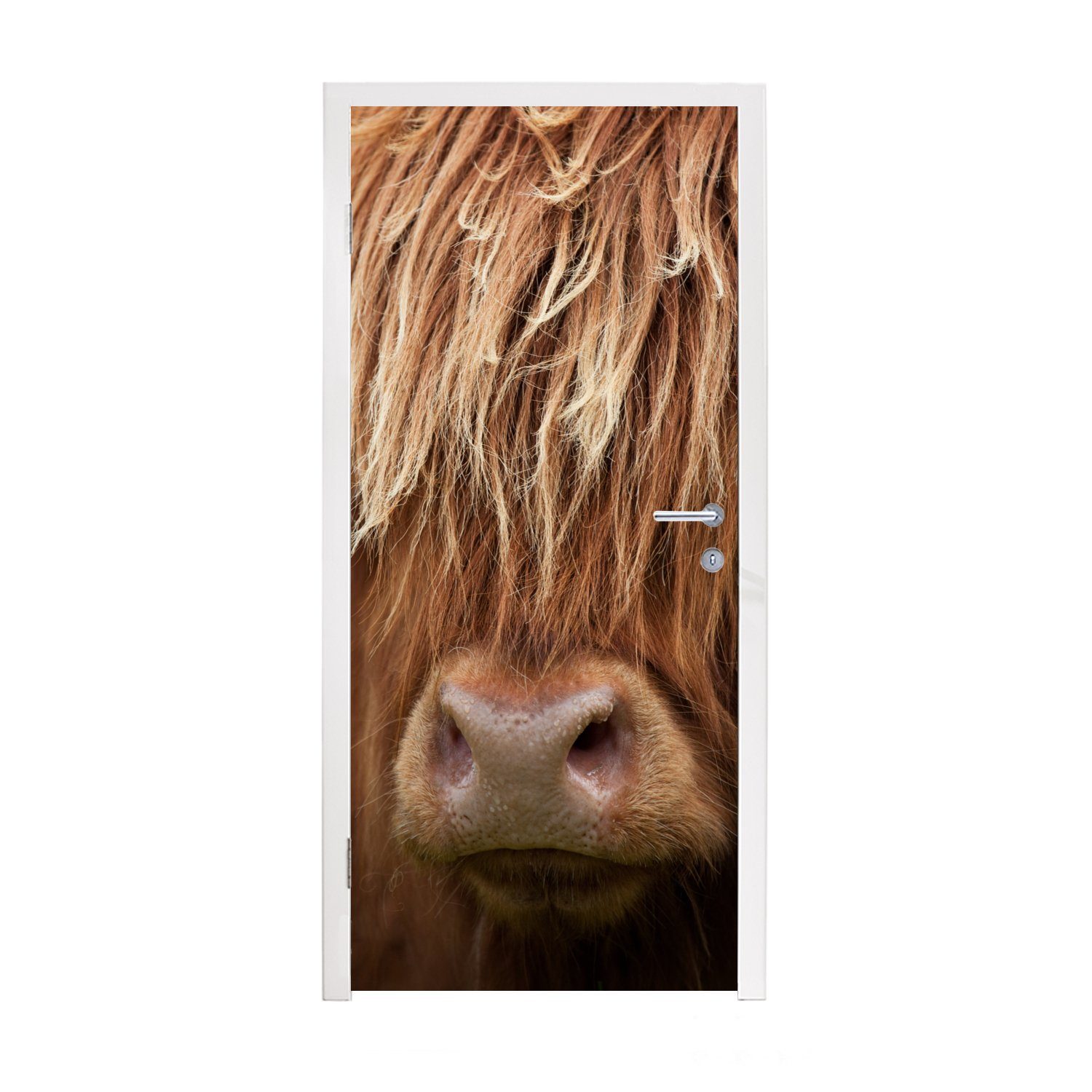 MuchoWow Türtapete Schottischer Highlander - Nase - Haare, Matt, bedruckt, (1 St), Fototapete für Tür, Türaufkleber, 75x205 cm