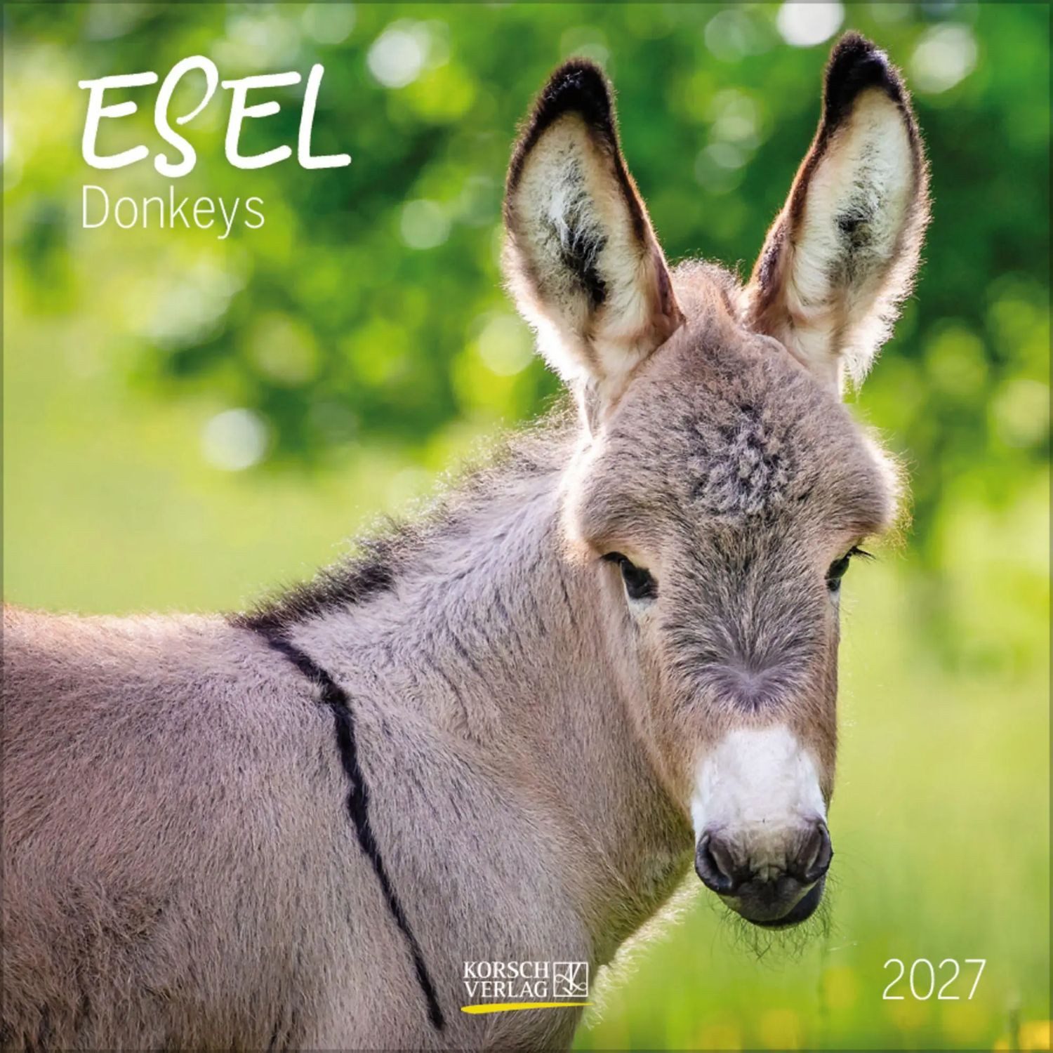 Korsch Verlag Wandkalender Esel 2027