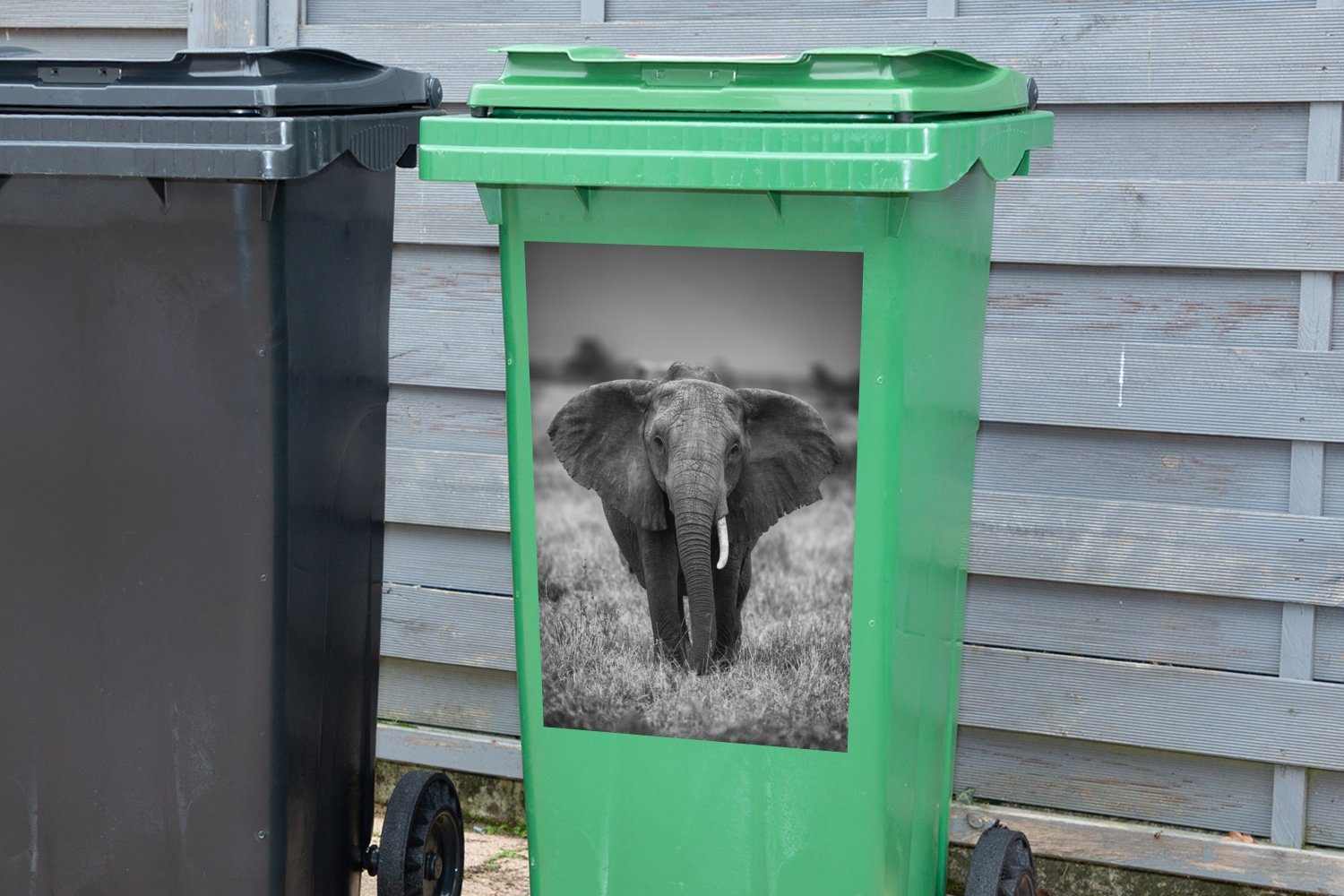 Elefant (1 - Mülltonne, Wildtiere Safari MuchoWow Mülleimer-aufkleber, Sticker, Tiere - Abfalbehälter - St), Wandsticker Container,