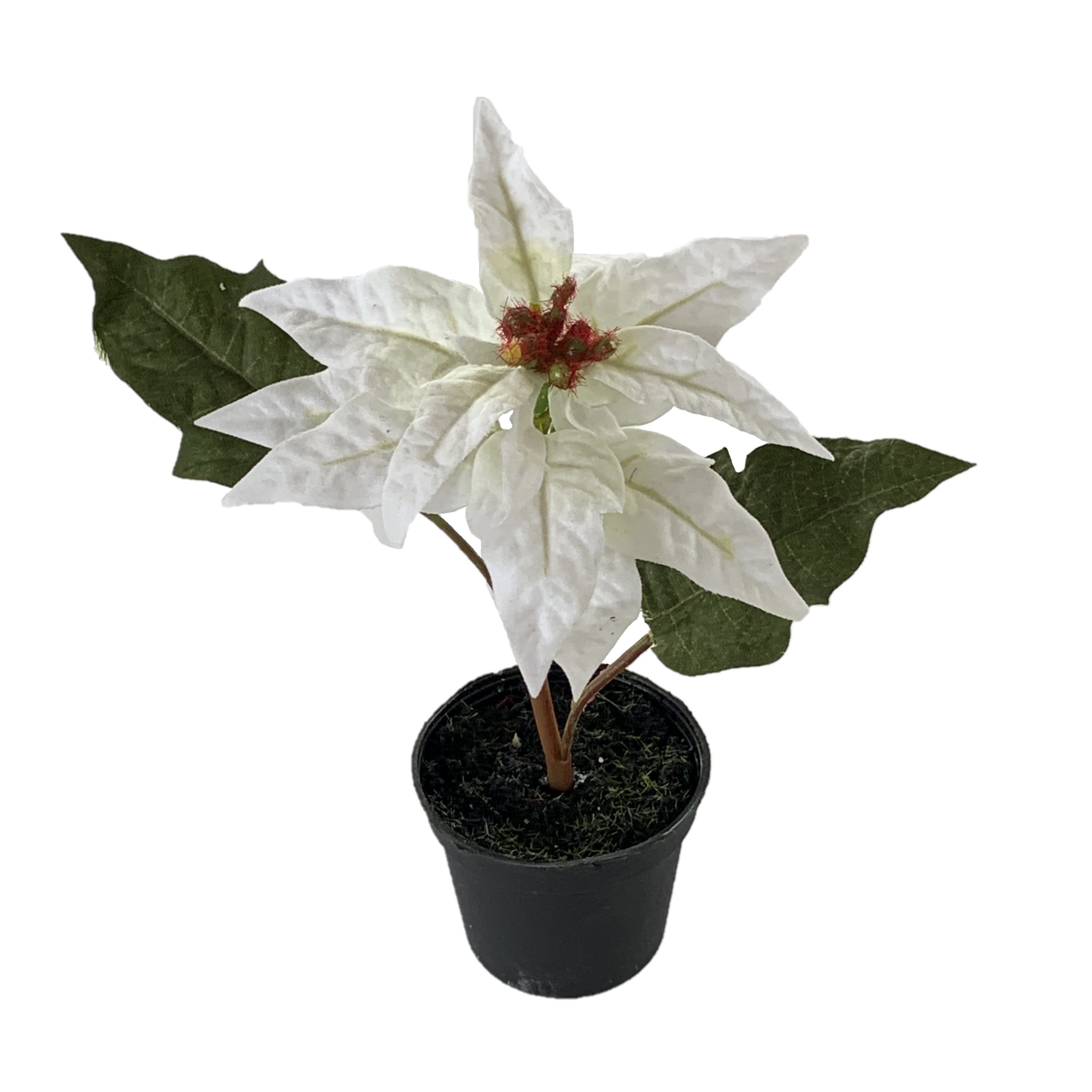 Kunstblume Kunstblume POINSETTIE im TOPF. 17 cm. Christstern in WEISS, Floratexx GmbH, Höhe 17.00 cm