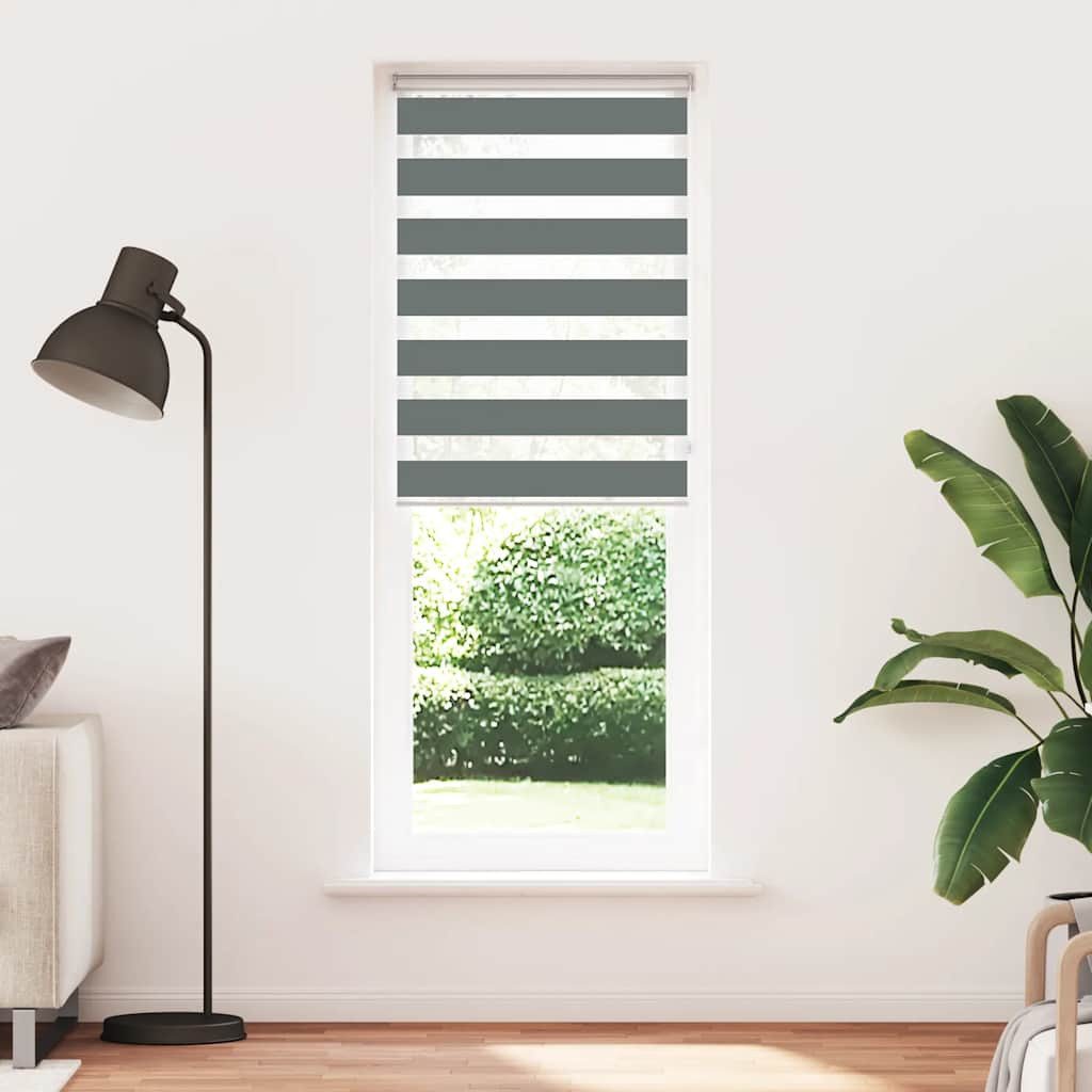 Rollo Doppelrollo Dunkelgrau 90x230 cm Stoffbreite 85,9 cm Polyester, vidaX günstig online kaufen