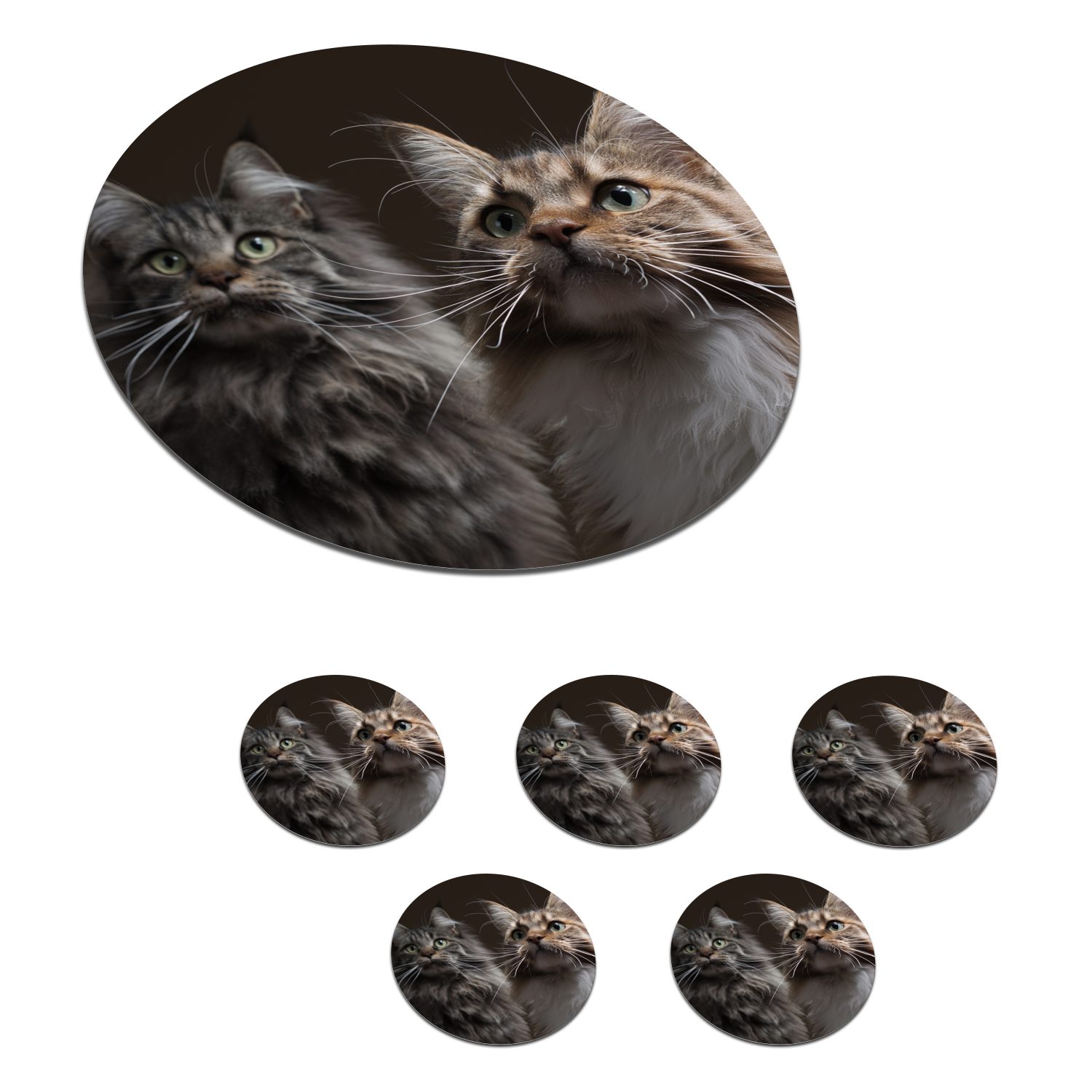 MuchoWow Glasuntersetzer Zwei süße Maine Coon Katzen, Zubehör für Gläser, 6-tlg., Getränkeuntersetzer, Tassenuntersetzer, Korkuntersetzer, Tasse, Becher