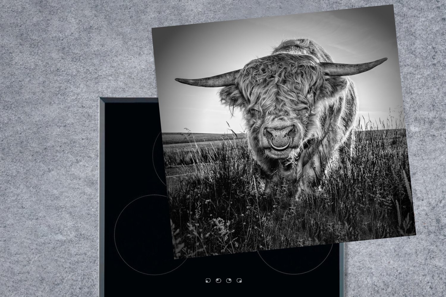 Kuhkopf, (1 Weiß tlg), - - für Herdblende-/Abdeckplatte und Vinyl, cm, MuchoWow Arbeitsplatte 78x78 Schwarz Ceranfeldabdeckung, küche Highlander Schottischer