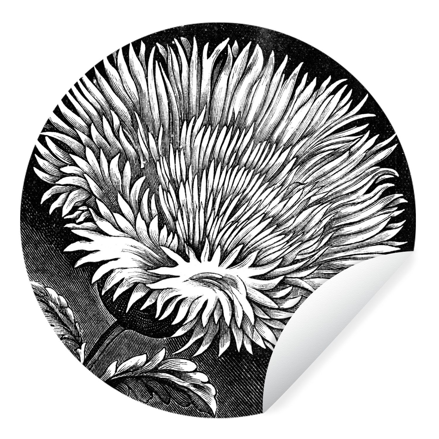 MuchoWow Wandsticker Eine Illustration einer Kornblume in Schwarz und Weiß (1 St), Tapetenkreis für Kinderzimmer, Tapetenaufkleber, Rund, Wohnzimmer