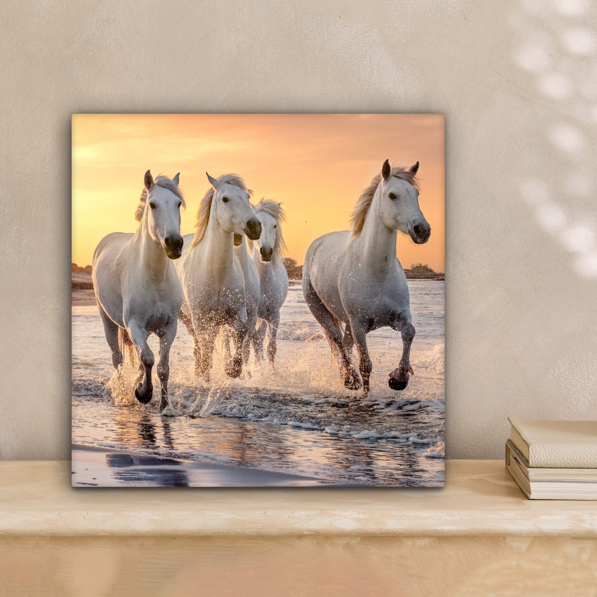 OneMillionCanvasses® Leinwandbild Pferde - Sonne - Meer - Strand - Tiere, F günstig online kaufen
