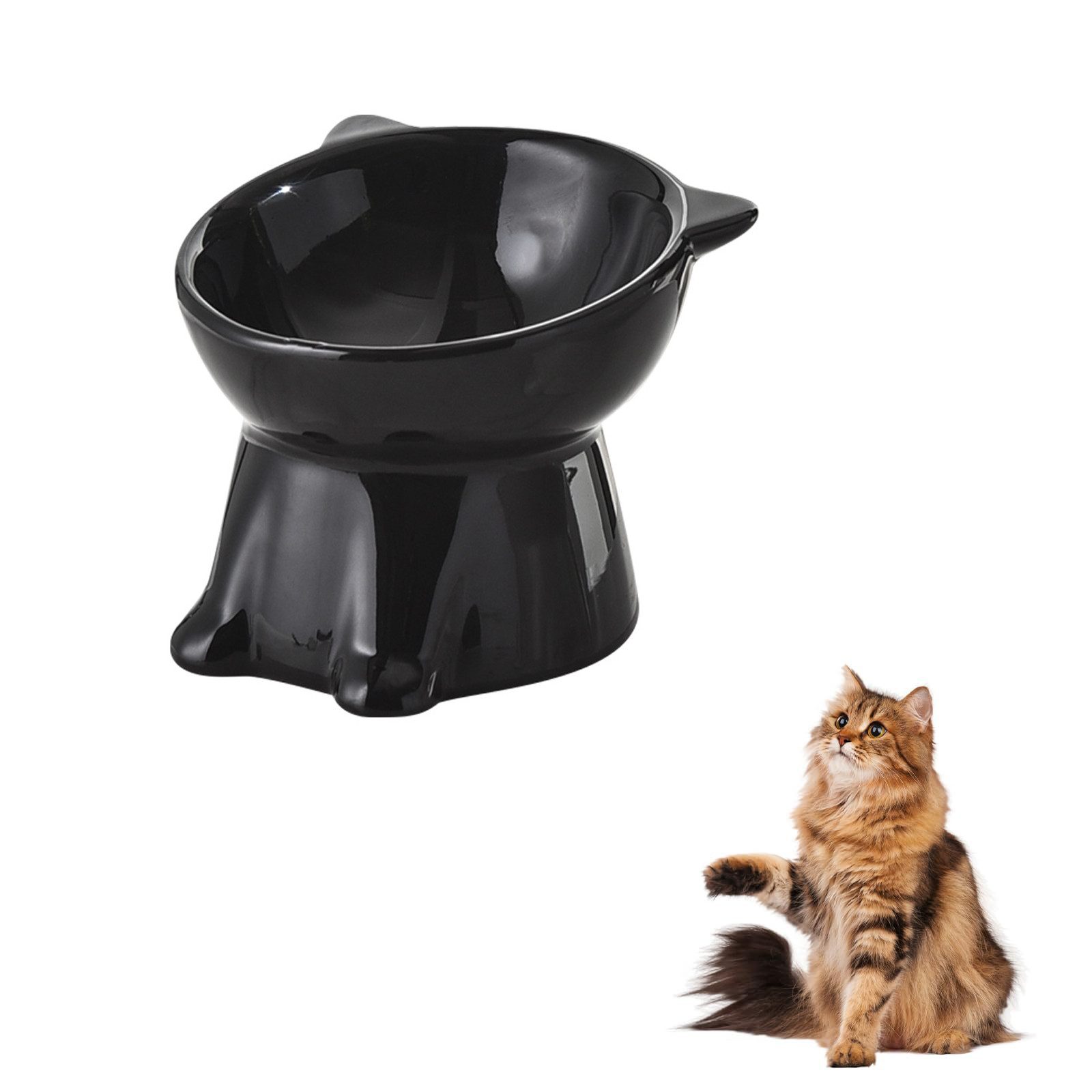 Ledander Futternapf Futternapf Katze,Katzennapf Erhöht mit 15 Grad Neigendem Design, Katzennapf für Katze Hunde Welpe Futter Und Wasser