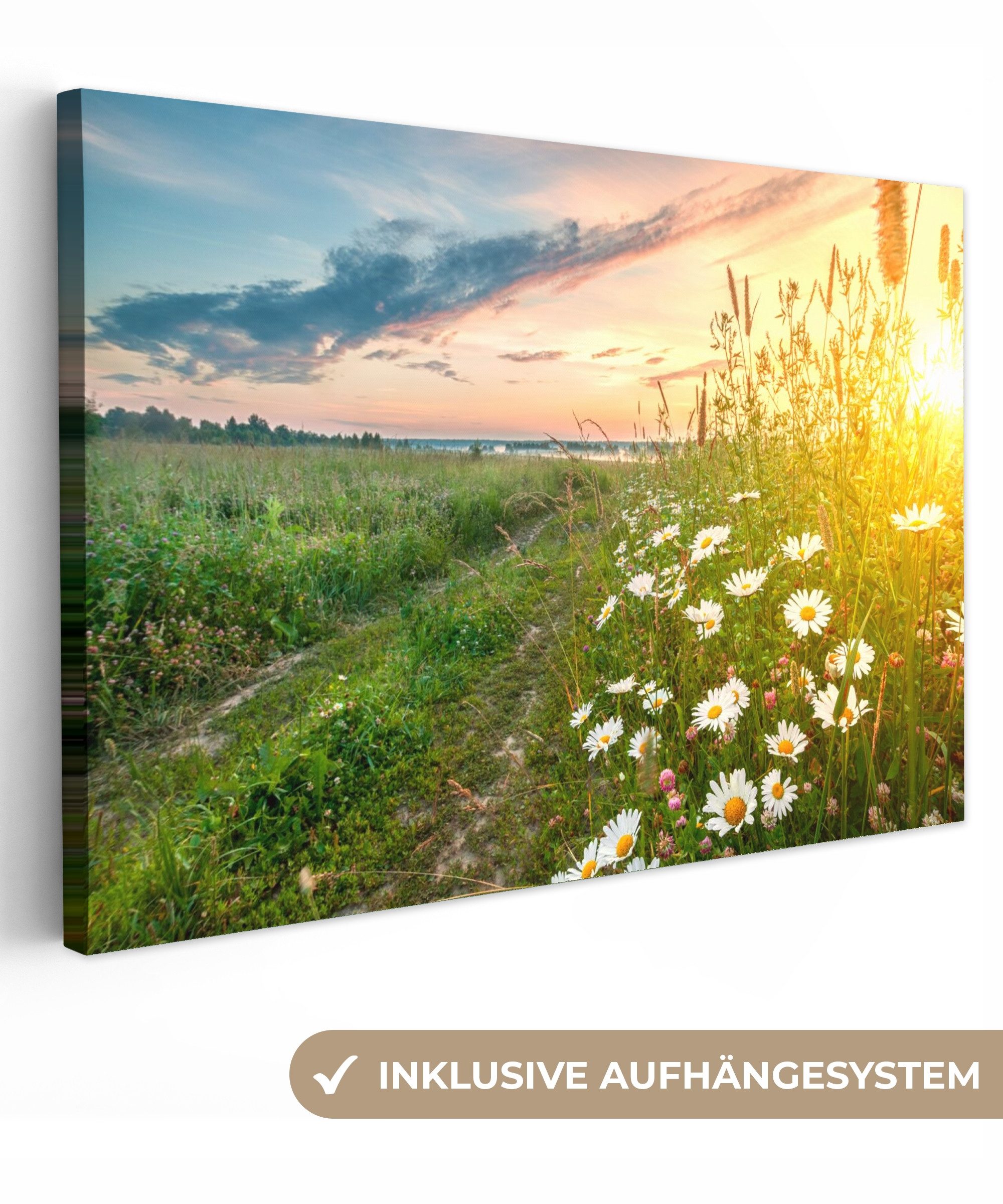 OneMillionCanvasses® Leinwandbild Blumen - Gänseblümchen - Natur - Sonne - günstig online kaufen