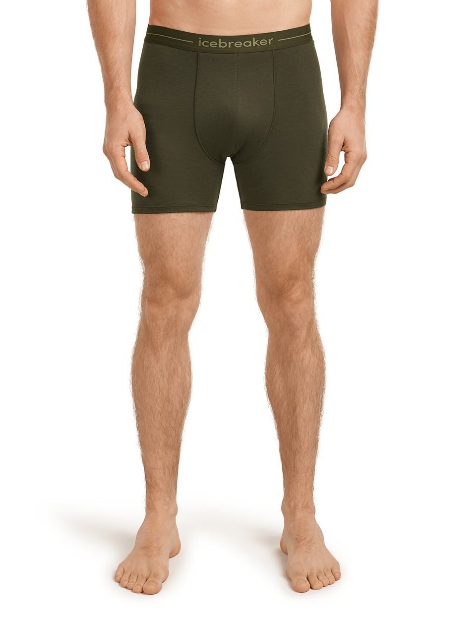 Icebreaker Boxershorts Anatomica (Merinowolle) Unterwäsche loden dunkelgrün Herren