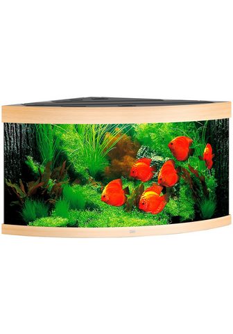 JUWEL AQUARIEN Аквариум »Trigon 350« 350 ...