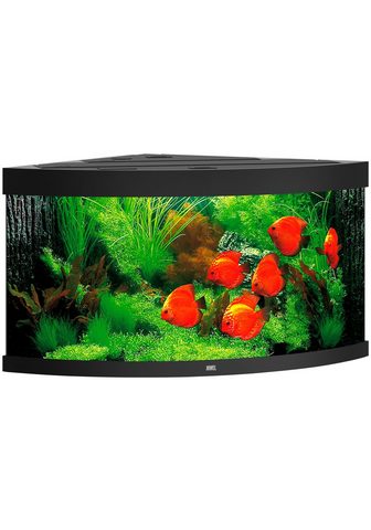 JUWEL AQUARIEN Аквариум »Trigon 350« 350 ...