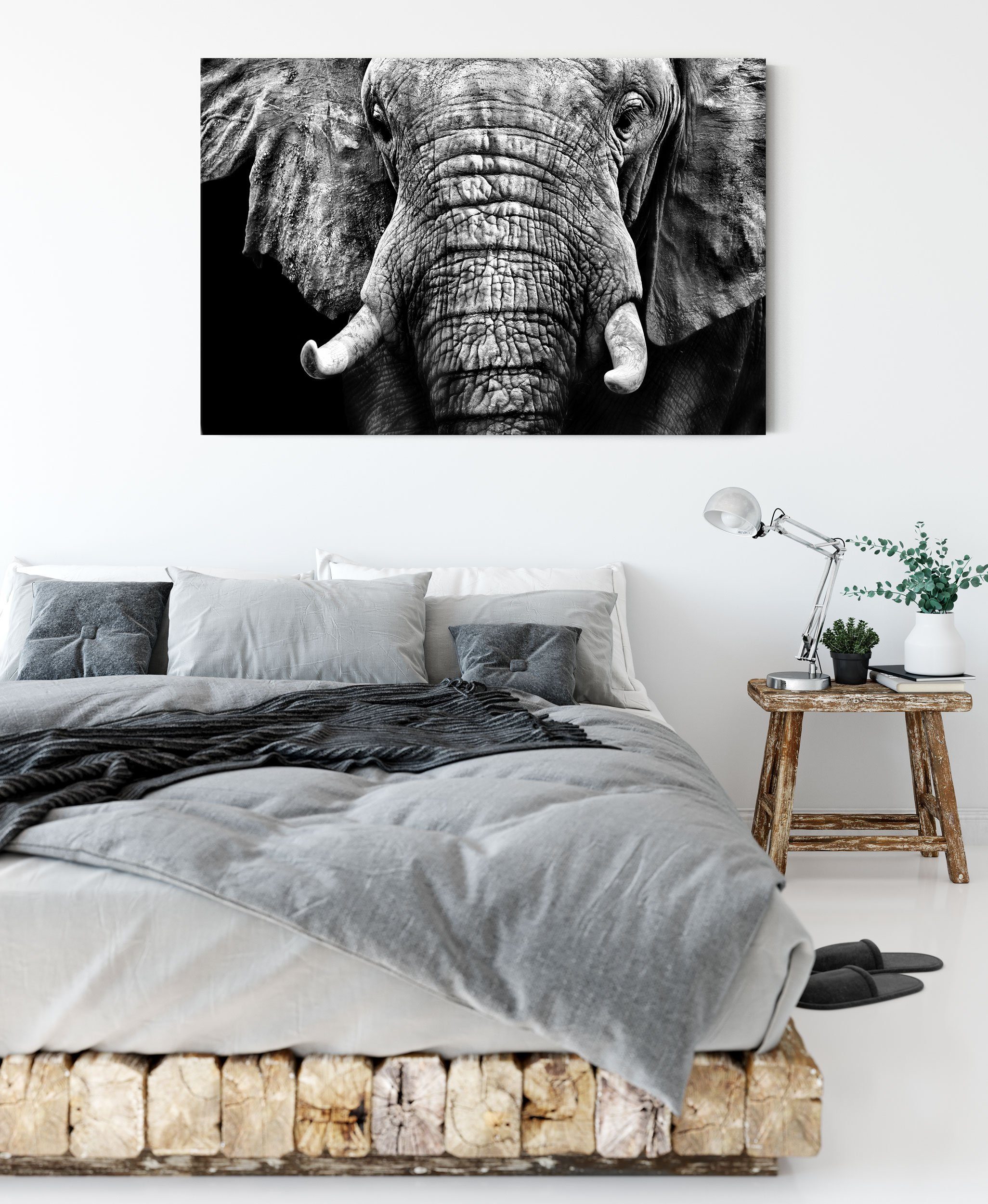 (1 Leinwandbild Pixxprint bespannt, Zackenaufhänger Elefant Leinwandbild Elefant inkl. Porträt, fertig St), Porträt