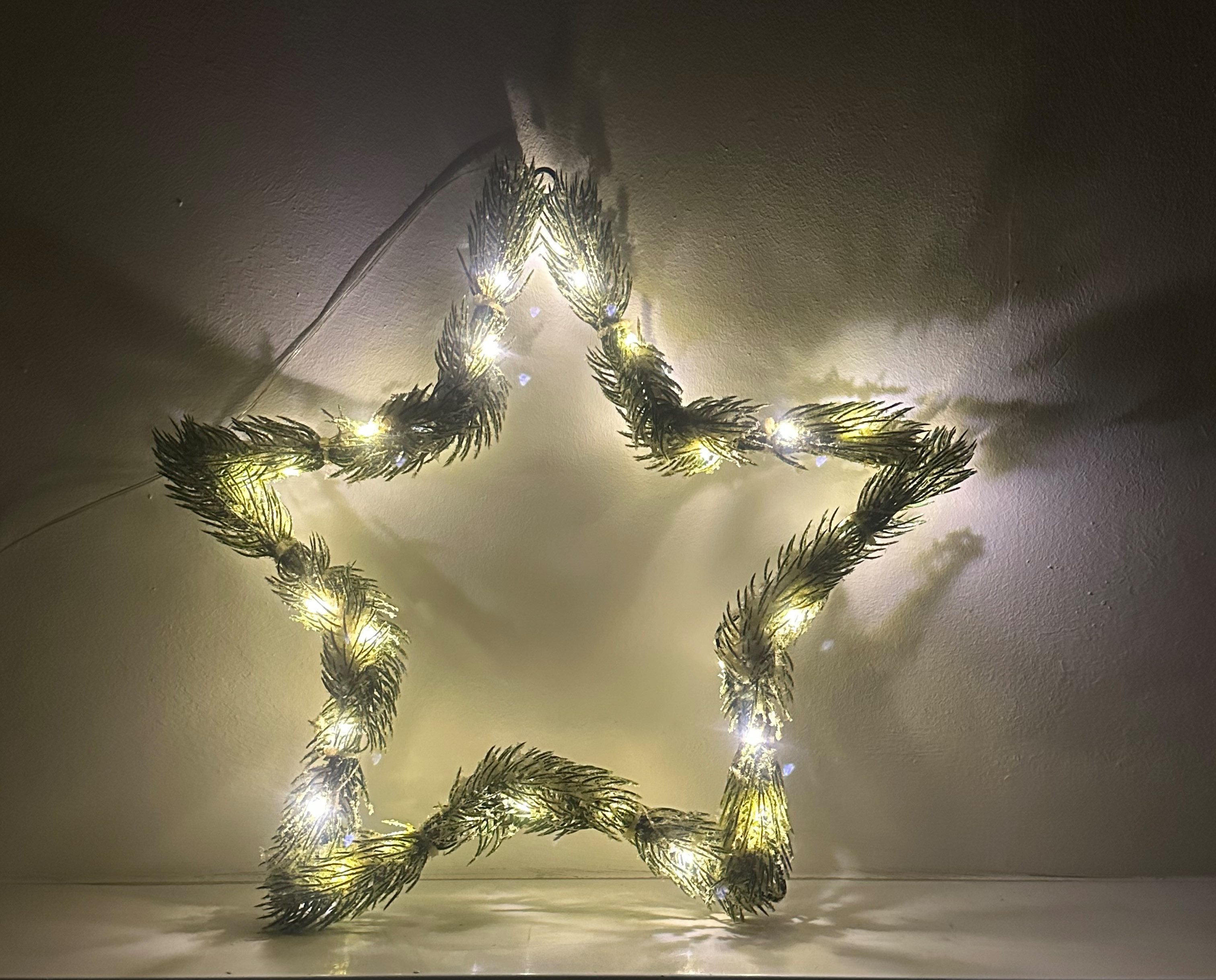 Nipach Fensterbild LED Weihnachtsstern 40 cm 2 Stück je 30 LED IP44 Außen mit Timer