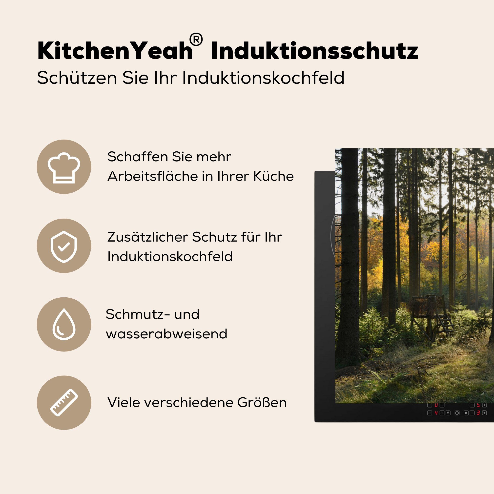 MuchoWow Herdblende-/Abdeckplatte Wald - Sommer Sonne, für Vinyl, Schutz cm, Induktionskochfeld - Ceranfeldabdeckung 81x52 küche, (1 tlg), die