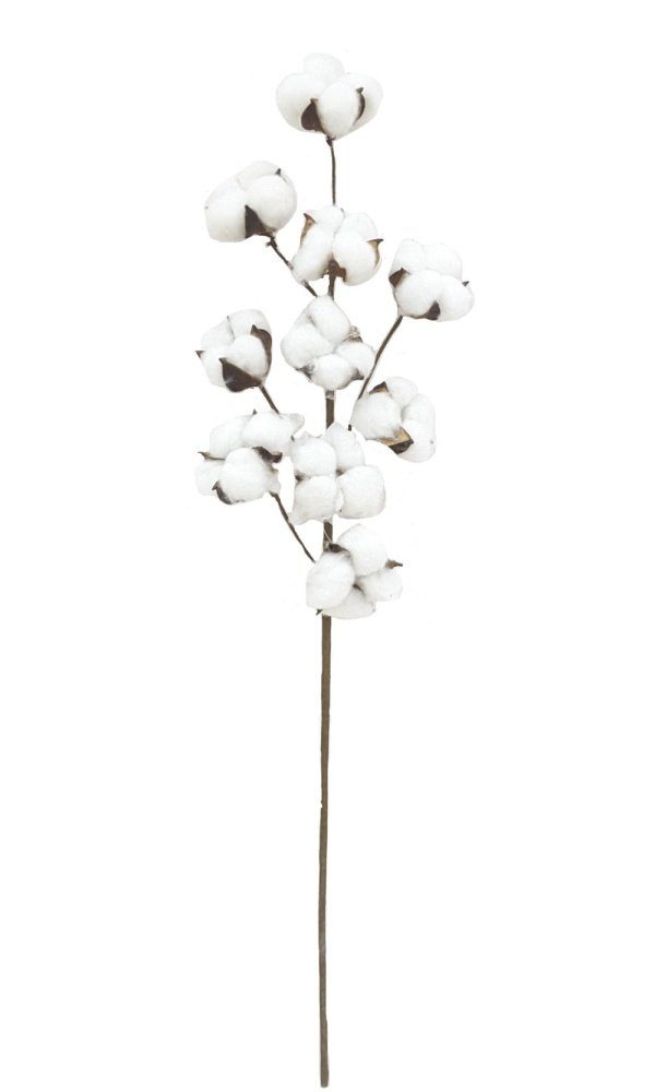 Kunstblume Baumwollpflanze