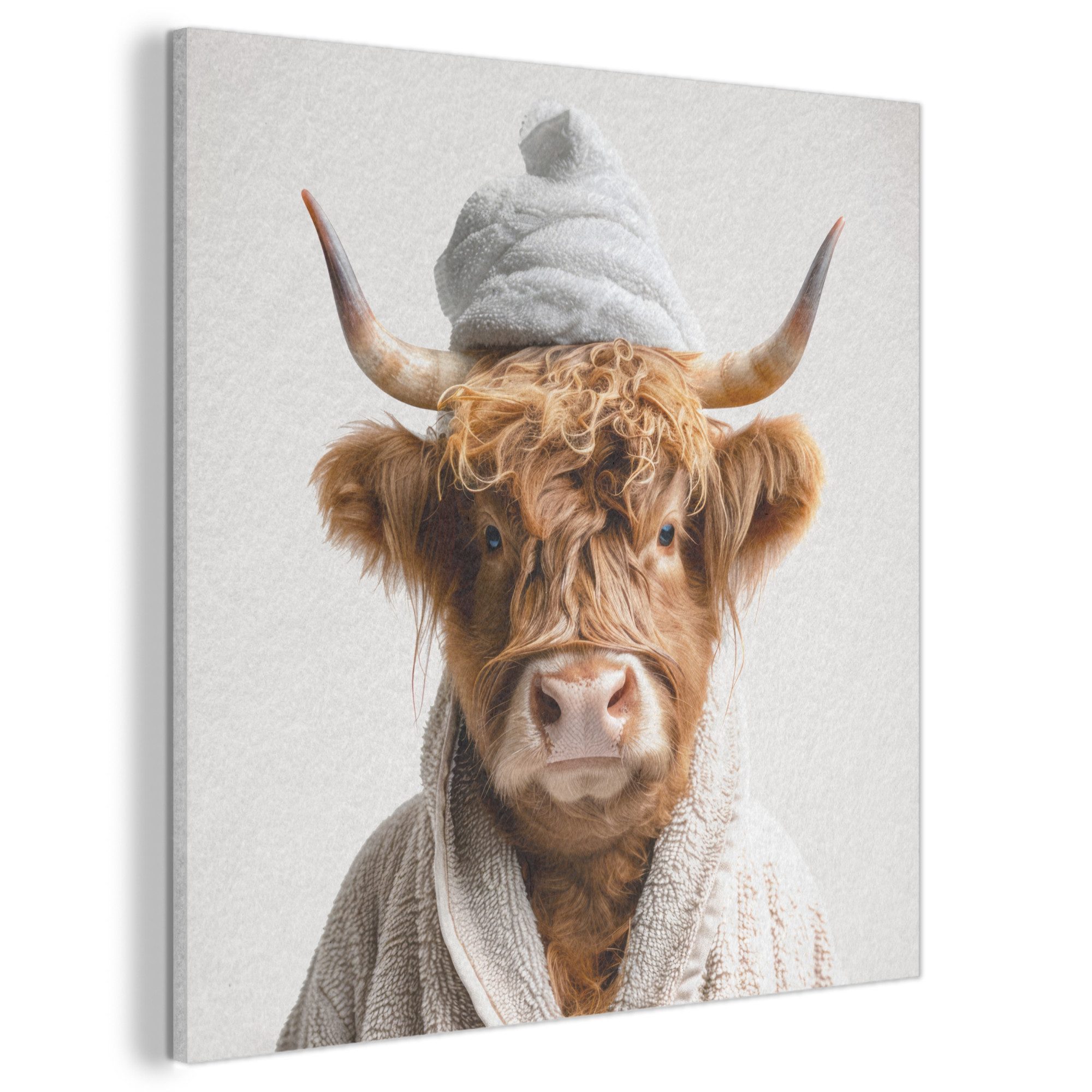 MuchoWow Gemälde Schottischer Highlander - Bademantel - Kuh - Tiere, Fotodruck (1 St), Akustikpaneele, Wandpaneele, Schalldämmung, Akustikbilder 60x60 cm