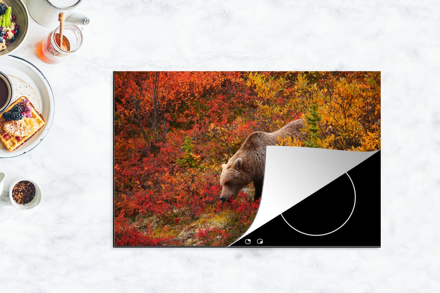 Induktionskochfeld tlg), Alaska, die bunten Denali-Nationalpark Ceranfeldabdeckung Blätter Grizzlybär Schutz Vinyl, (1 in seine zeigt cm, für Herdblende-/Abdeckplatte küche, 81x52 MuchoWow im
