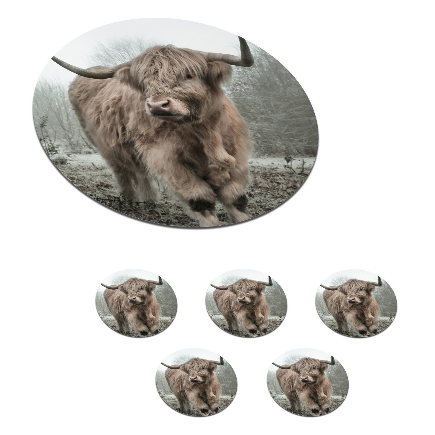 MuchoWow Glasuntersetzer Schottische Highlander - Natur - Herbst - Tiere - Wildtiere - Wald, Zubehör für Gläser, 6-tlg., Getränkeuntersetzer, Tassenuntersetzer, Korkuntersetzer, Tasse, Becher