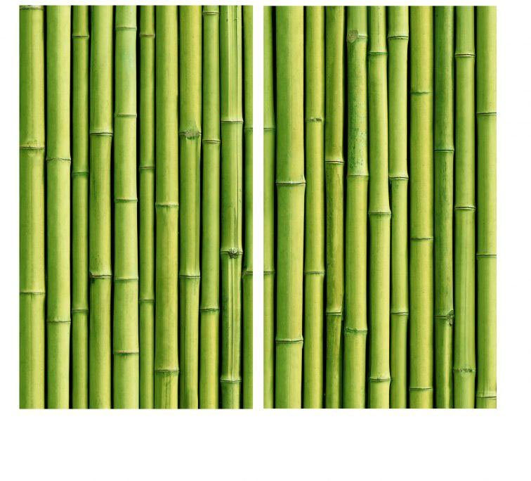 Küche Herdabdeckplatte Wall-Art (Set, 2 Glas, Herd-Abdeckplatte tlg) Bambus,