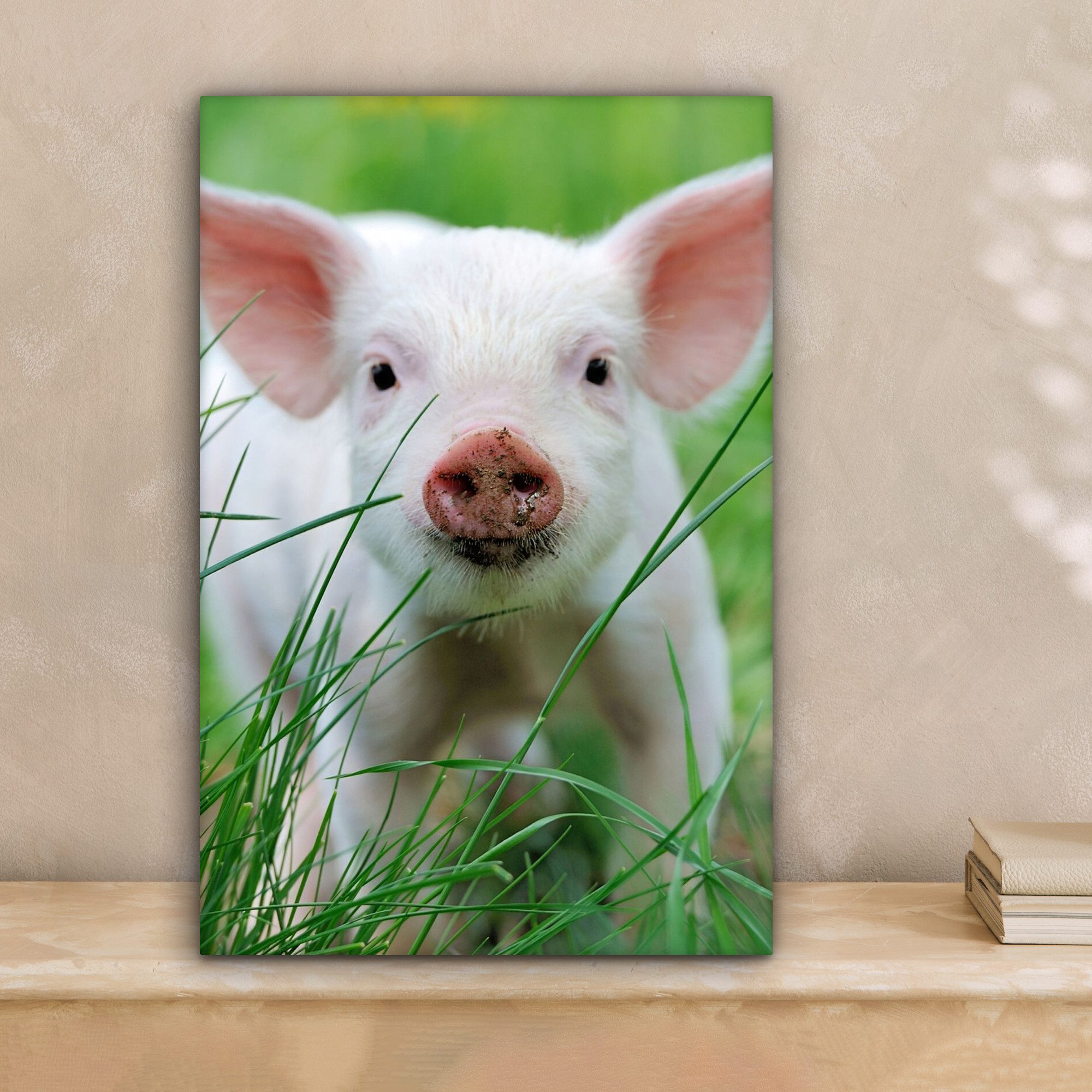 OneMillionCanvasses® Leinwandbild Schwein - Tiere - günstig online kaufen