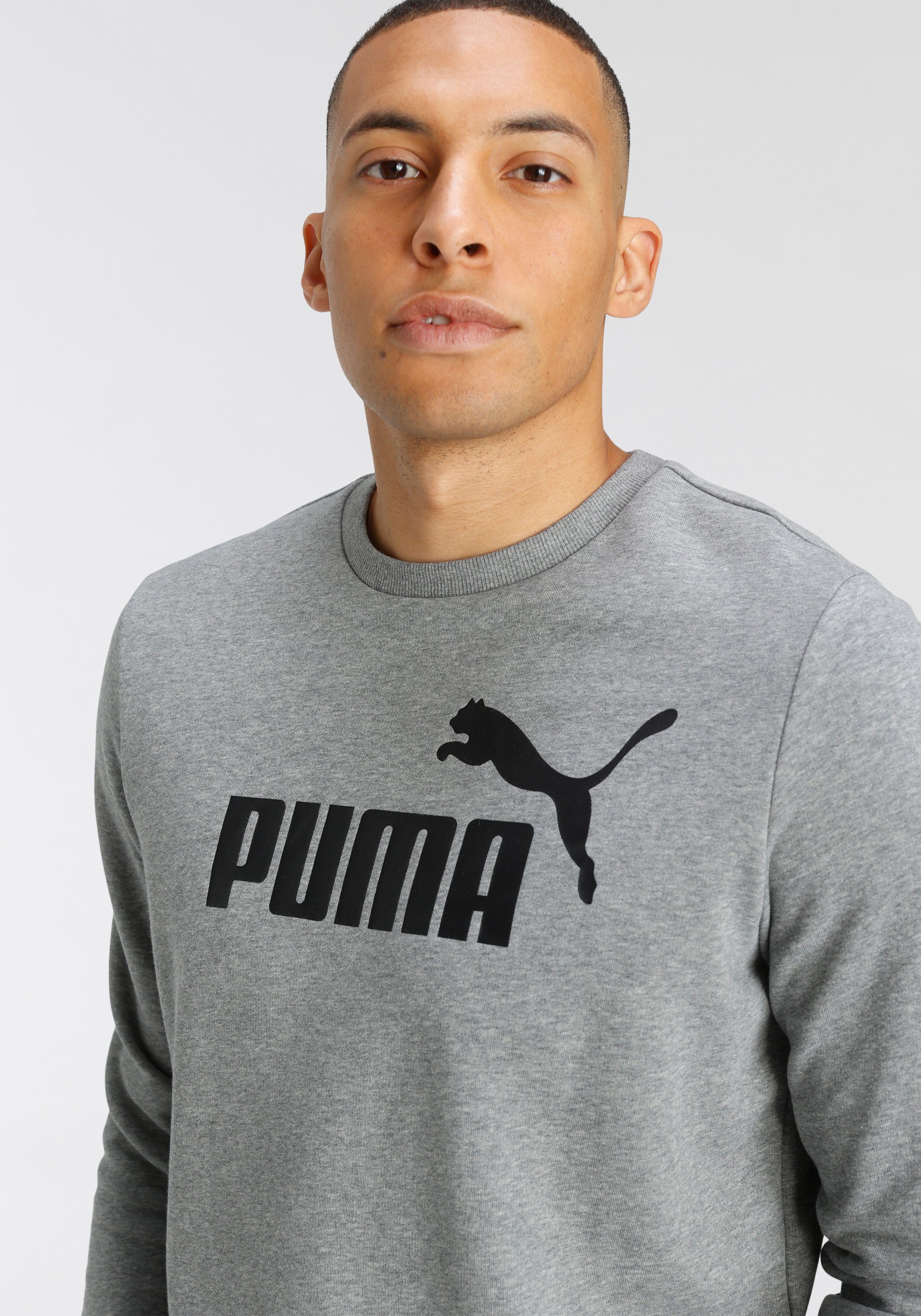 PUMA Kapuzensweatshirt LOGO Heather Gray TR CREW ESS BIG Medium