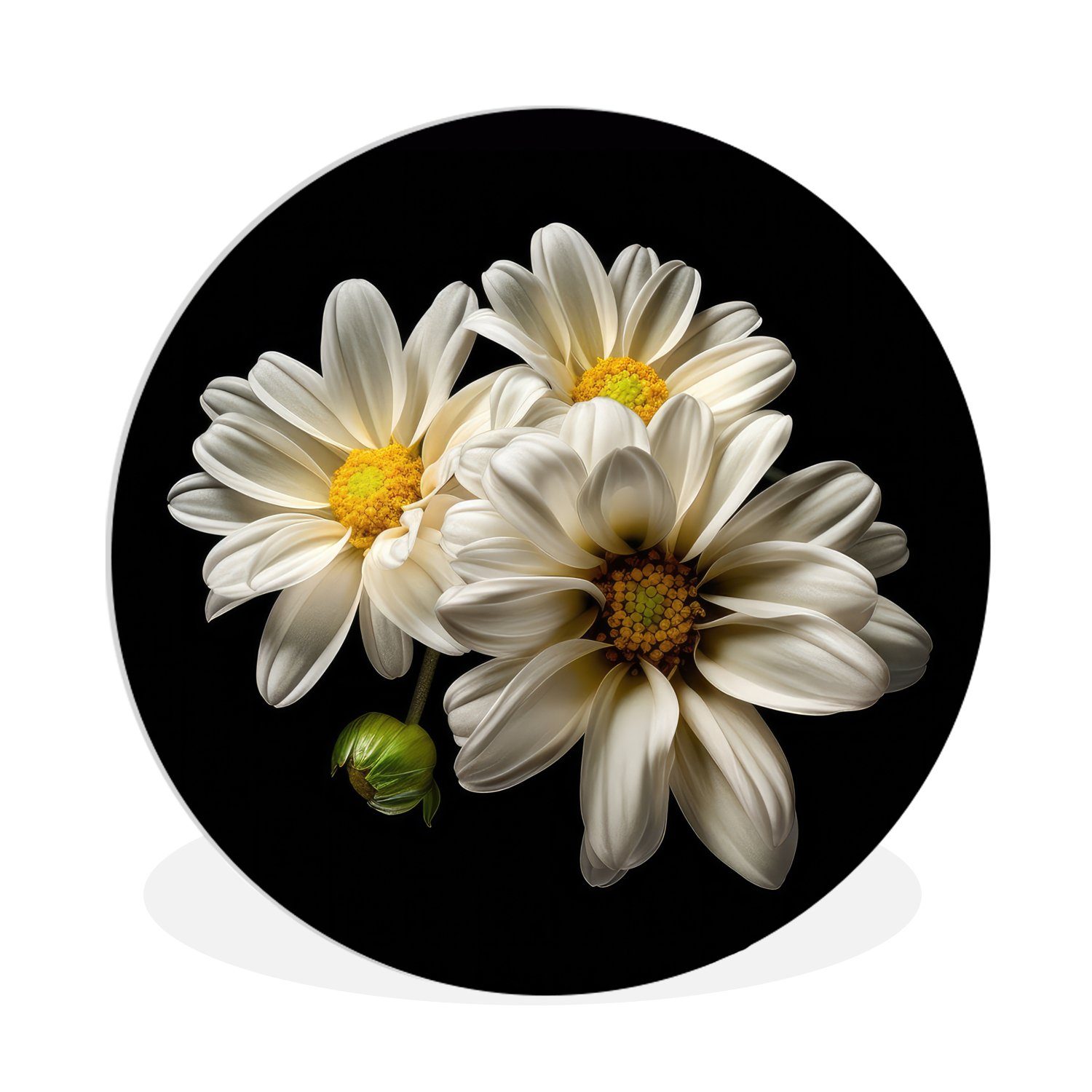 MuchoWow Gemälde Blumen - Gänseblümchen - Weiß - Botanisch - Natur, (1 St), Kreis Wanddekoration Forex, Rundes Wandbild, Wohnzimmer, 30x30 cm | Gemälde
