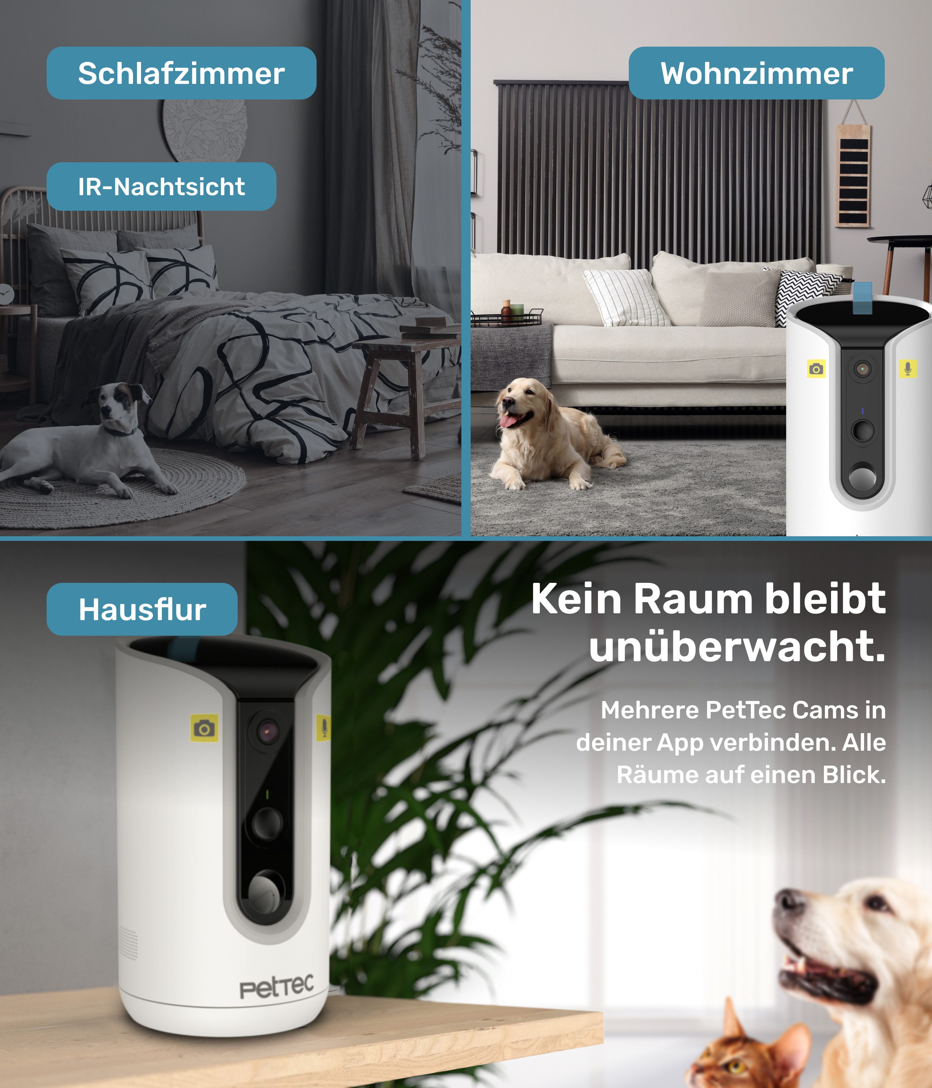 PetTec Überwachungskamera Pet Cam Hello (Innenbereich, Wohnzimmer, Schlafzimmer, Kinderzimmer, Leckerlieauswurf)