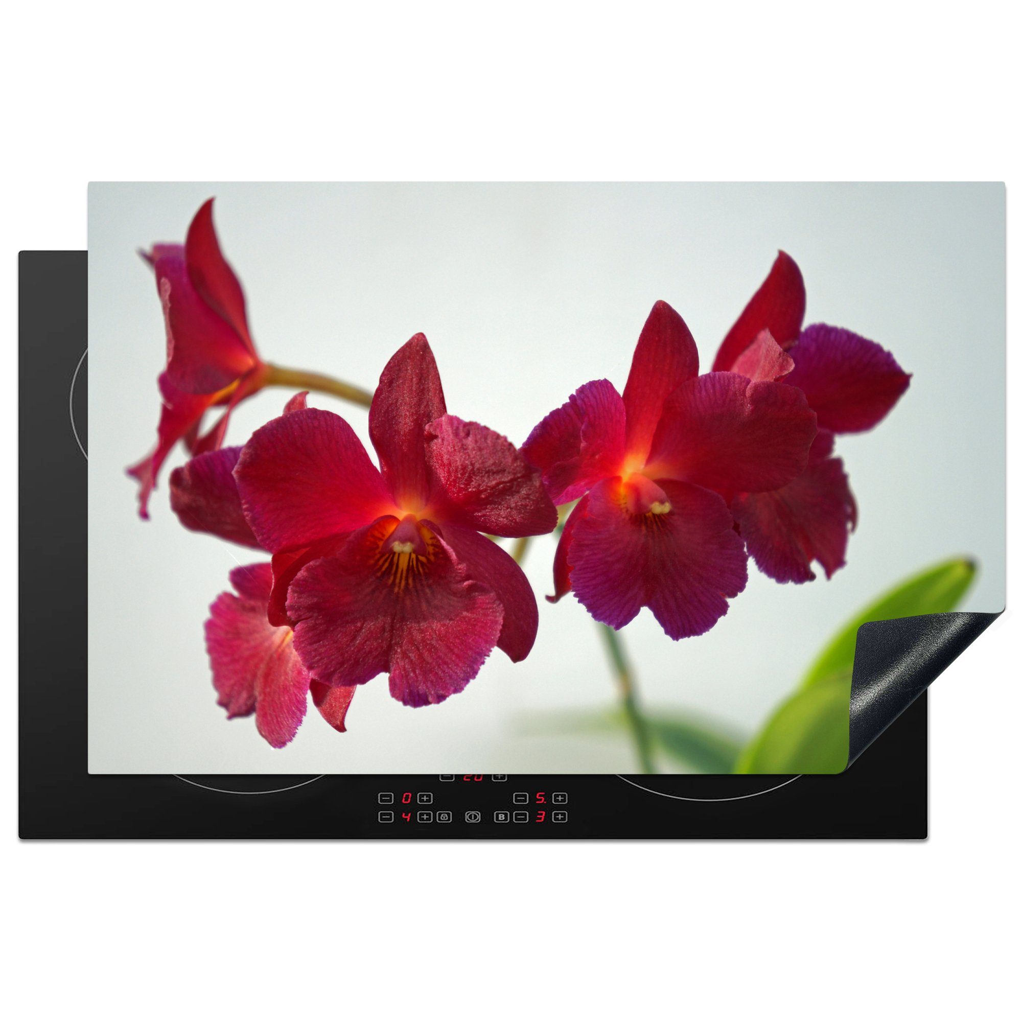 MuchoWow Herdblende-/Abdeckplatte Rote für cm, küche, Schutz tlg), die 81x52 Orchideen (1 weißem Ceranfeldabdeckung vor Hintergrund, Vinyl, Induktionskochfeld