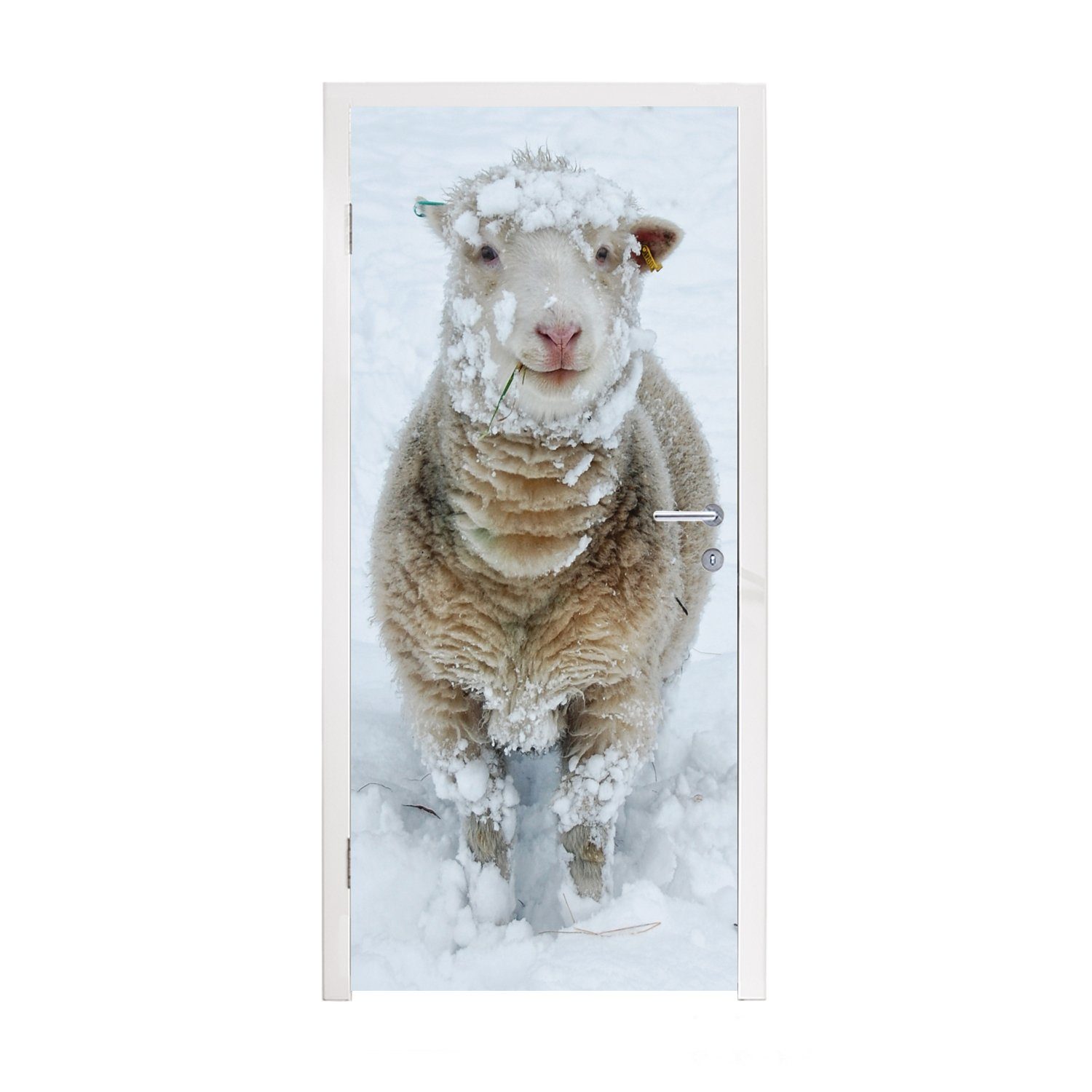 MuchoWow Türtapete Schafe - Schnee - Porträt, Matt, bedruckt, (1 St), Fototapete für Tür, Türaufkleber, 75x205 cm