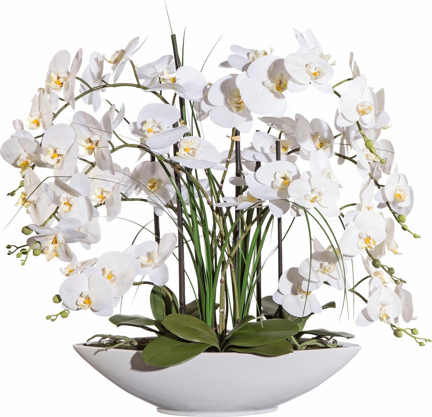 Kunstpflanze Orchidee, Creativ green, Höhe 70 cm-HomeTrends
