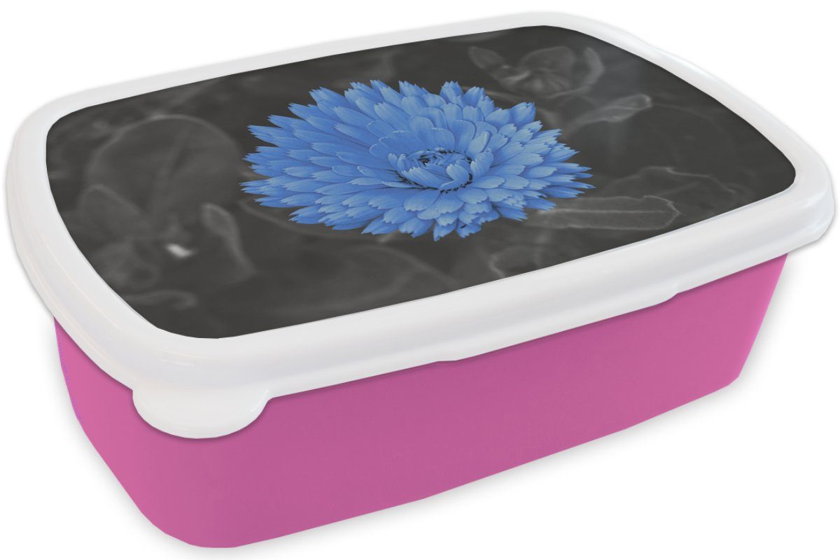 - Snackbox, Schwarz Kunststoff Kinder, Blumen rosa Kunststoff, Brotdose - Brotbox Lunchbox Mädchen, Weiß - Erwachsene, Blau, (2-tlg), MuchoWow für
