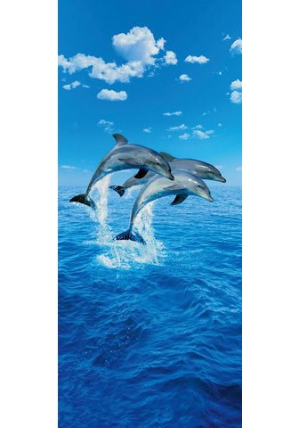IDEALDECOR Дверные обои »Three Dolphins&laq...