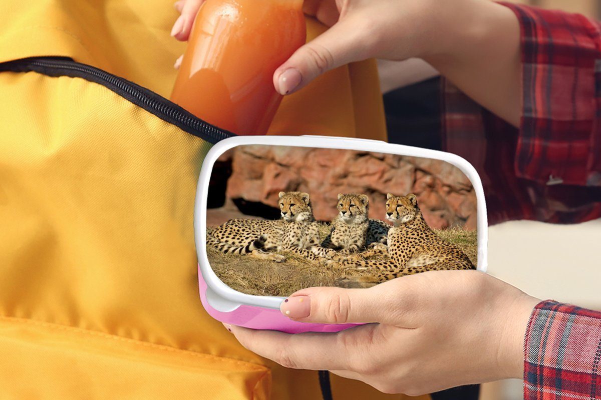 Erwachsene, (2-tlg), Kinder, und -junge, Mädchen, MuchoWow für Brotbox Kunststoff, Gepardenmutter rosa Brotdose Snackbox, Lunchbox Kunststoff