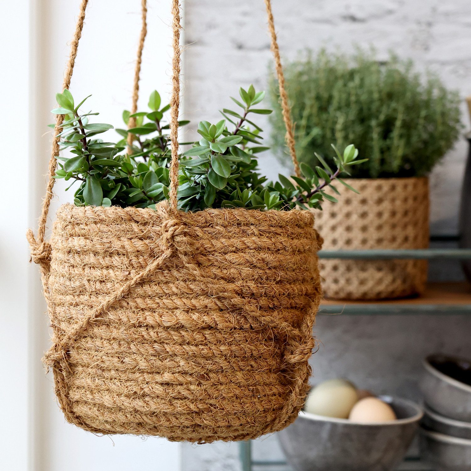 Macosa Home Blumentopf 2er Set hängende Blumentöpfe aus Naturfaser Ø 15 cm günstig online kaufen