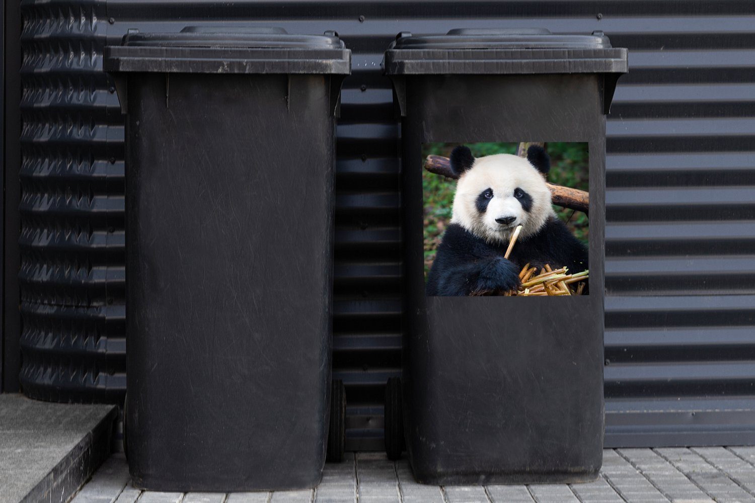 Wandsticker Sticker, - Abfalbehälter Mülltonne, Panda St), Natur - MuchoWow Bambus Mülleimer-aufkleber, (1 Container,