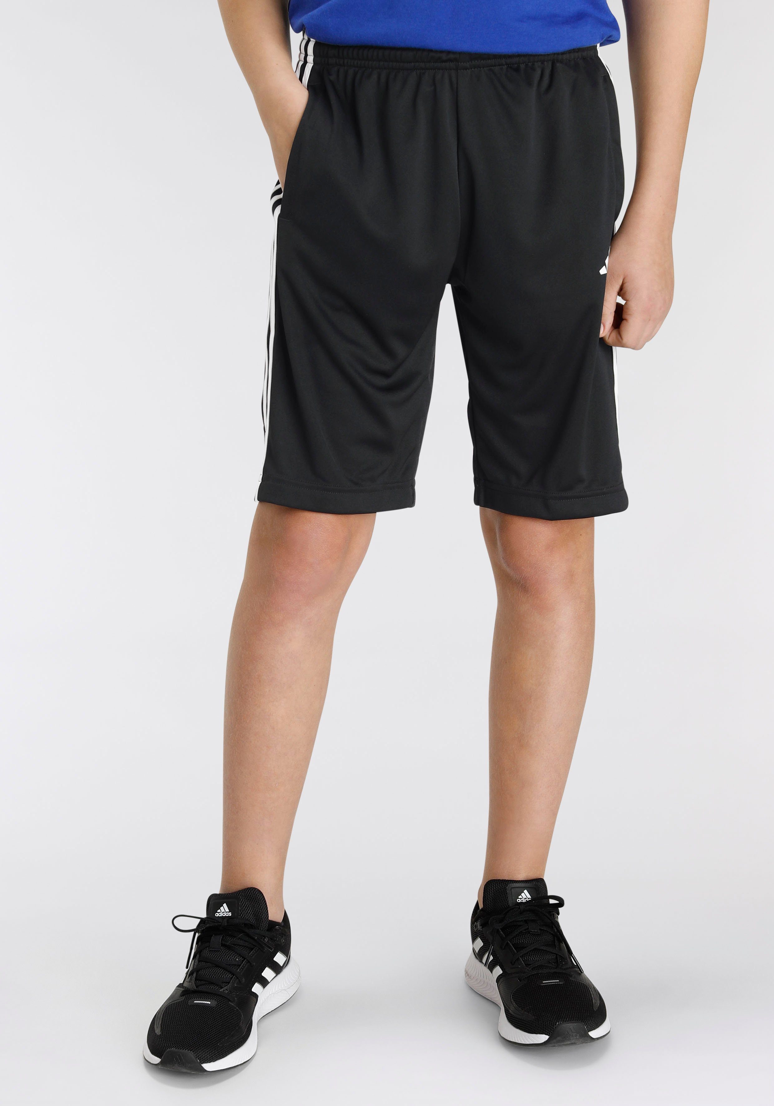 adidas Sportswear Shorts TRAIN ESSENTIALS AEROREADY 3-STREIFEN REGULAR-FIT (1-tlg) Black / White