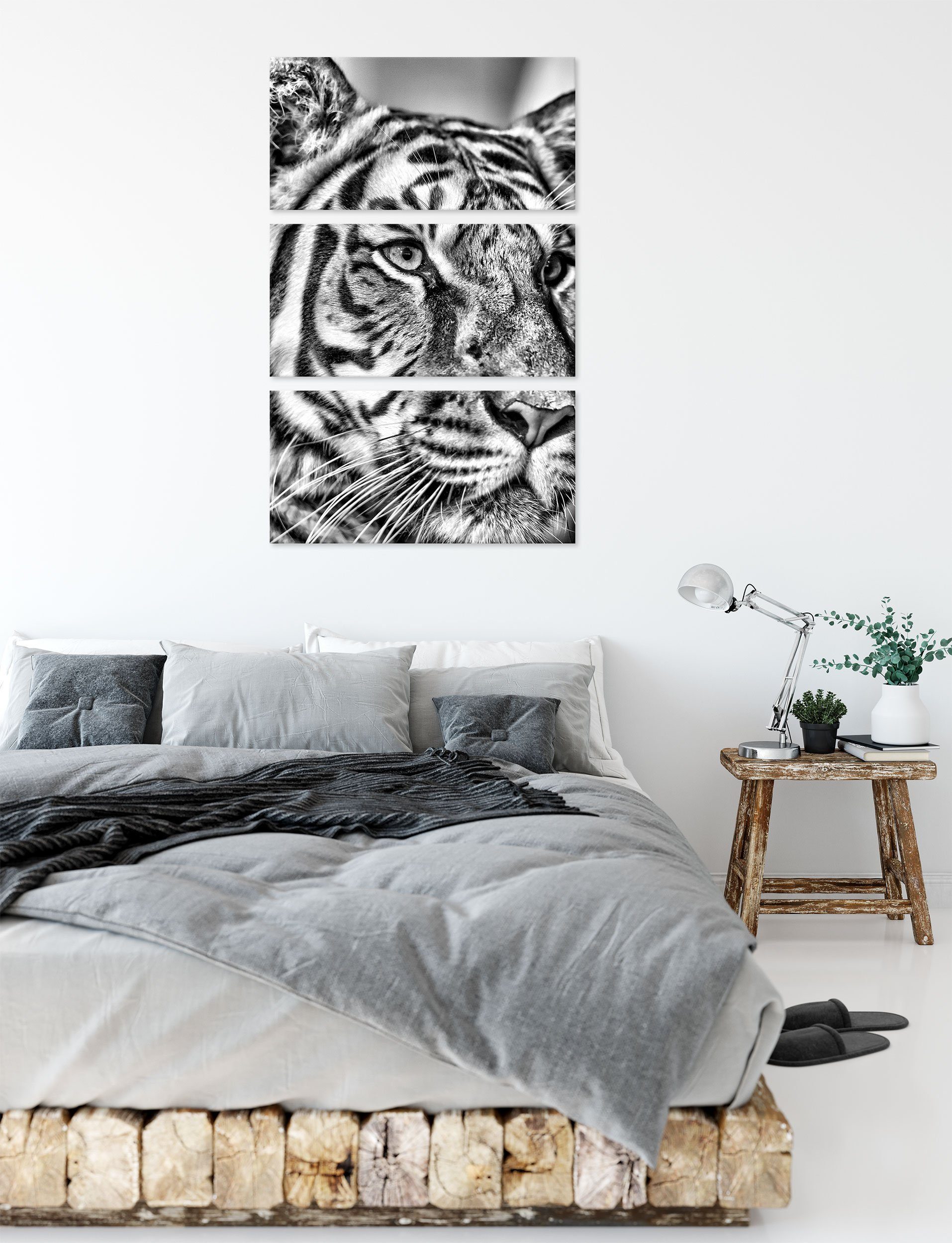 Tiger, inkl. (120x80cm) St), Leinwandbild schöner bespannt, Pixxprint Zackenaufhänger schöner Tiger 3Teiler (1 Leinwandbild fertig