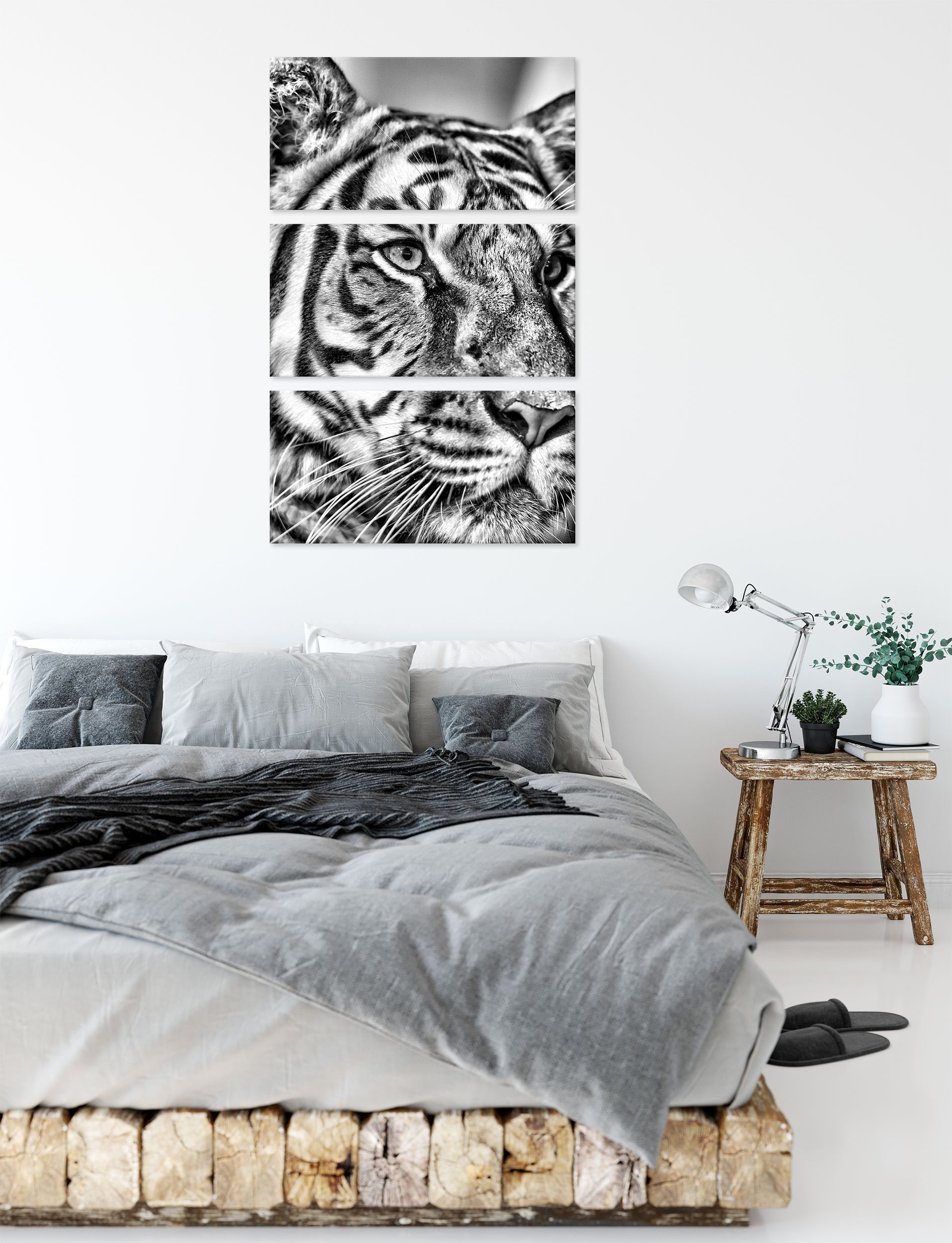 Pixxprint Leinwandbild schöner fertig bespannt, Leinwandbild schöner inkl. (1 Zackenaufhänger St), (120x80cm) 3Teiler Tiger, Tiger