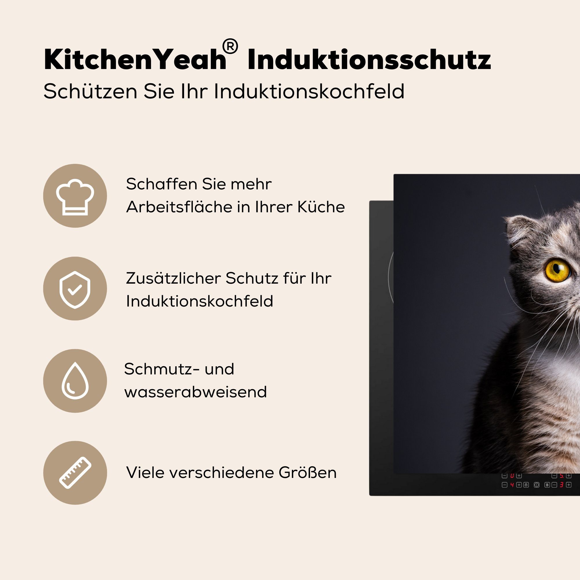 Ceranfeldabdeckung - Licht, küche, MuchoWow (1 Vinyl, Herdblende-/Abdeckplatte cm, Schutz die Augen Induktionskochfeld Katze 71x52 für - tlg),