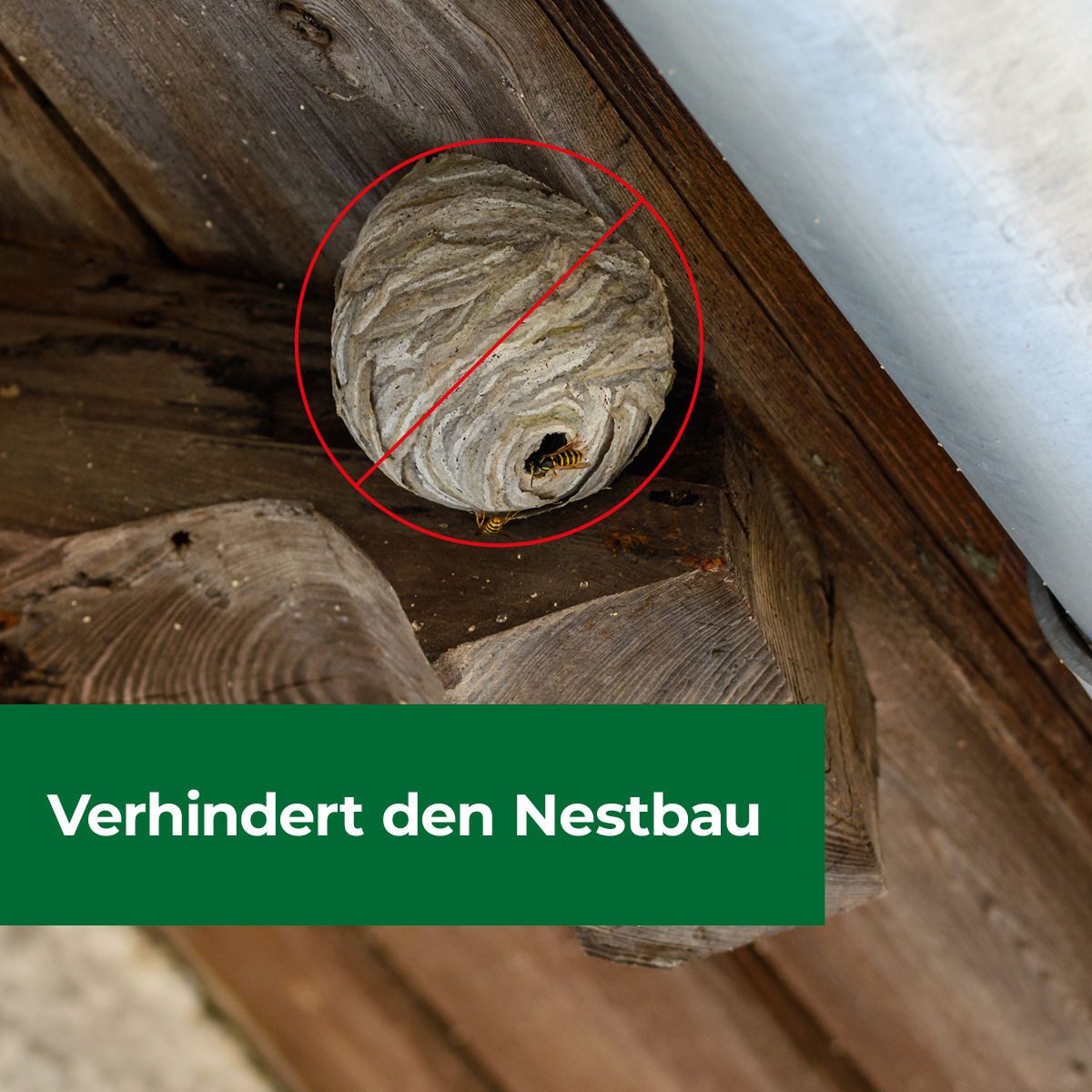 Protect Home Insektenspray Wespennest Blocker, 400 ml, 400 ml