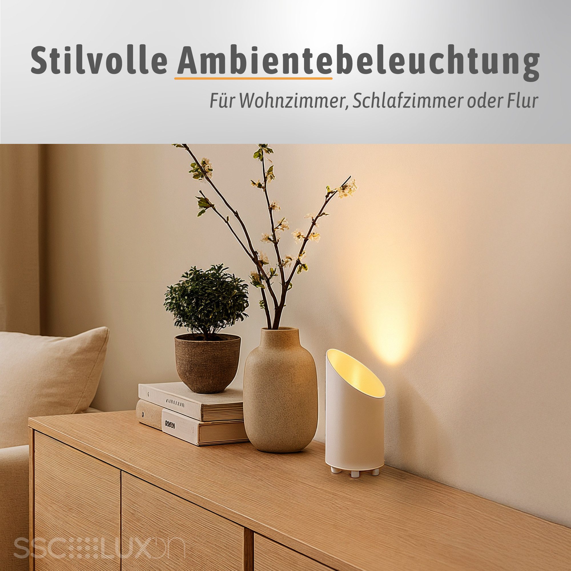 SSC-LUXon LED Spiegelleuchte Möbellampe AUREVA mit günstig online kaufen