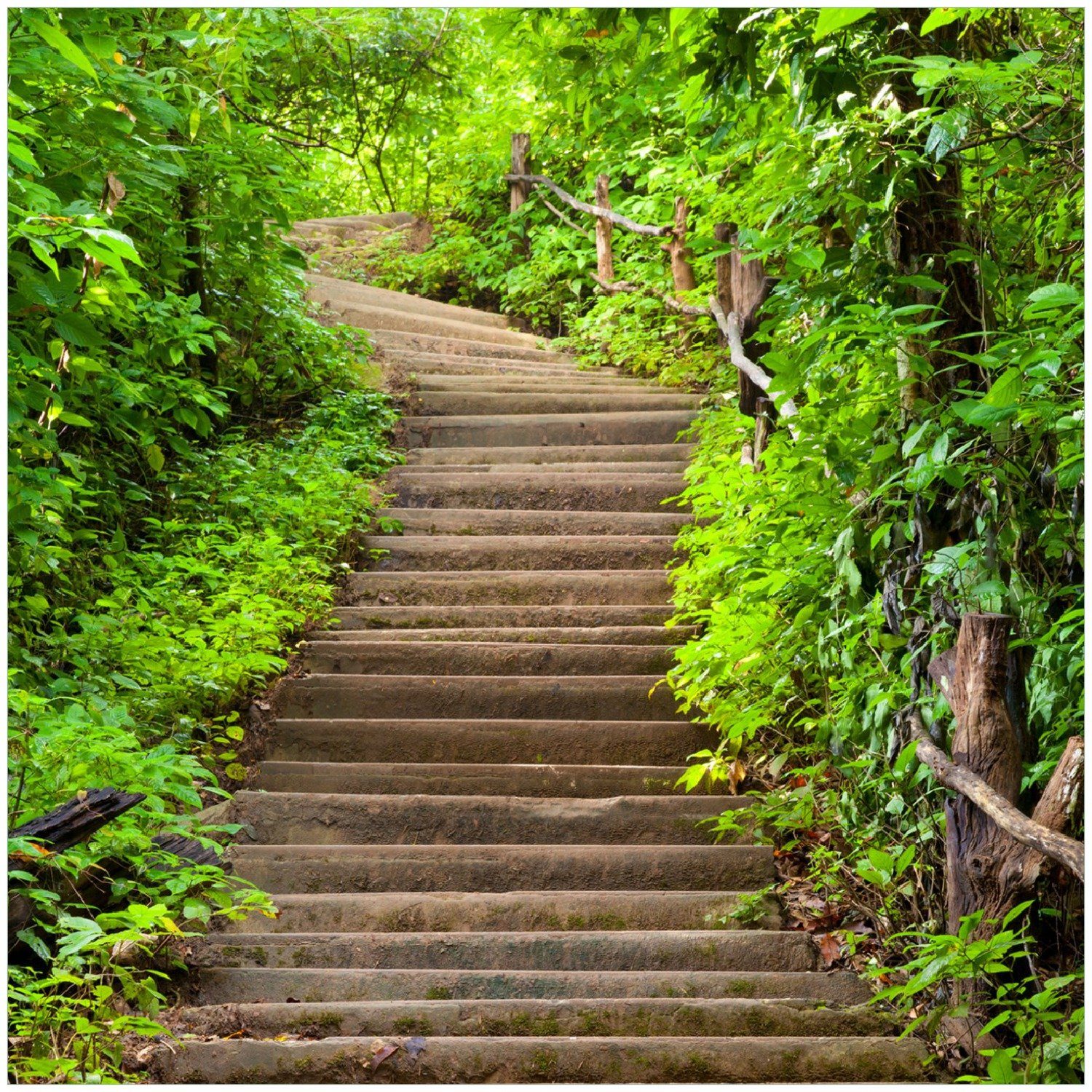 Wallario Memoboard Steintreppe im Wald
