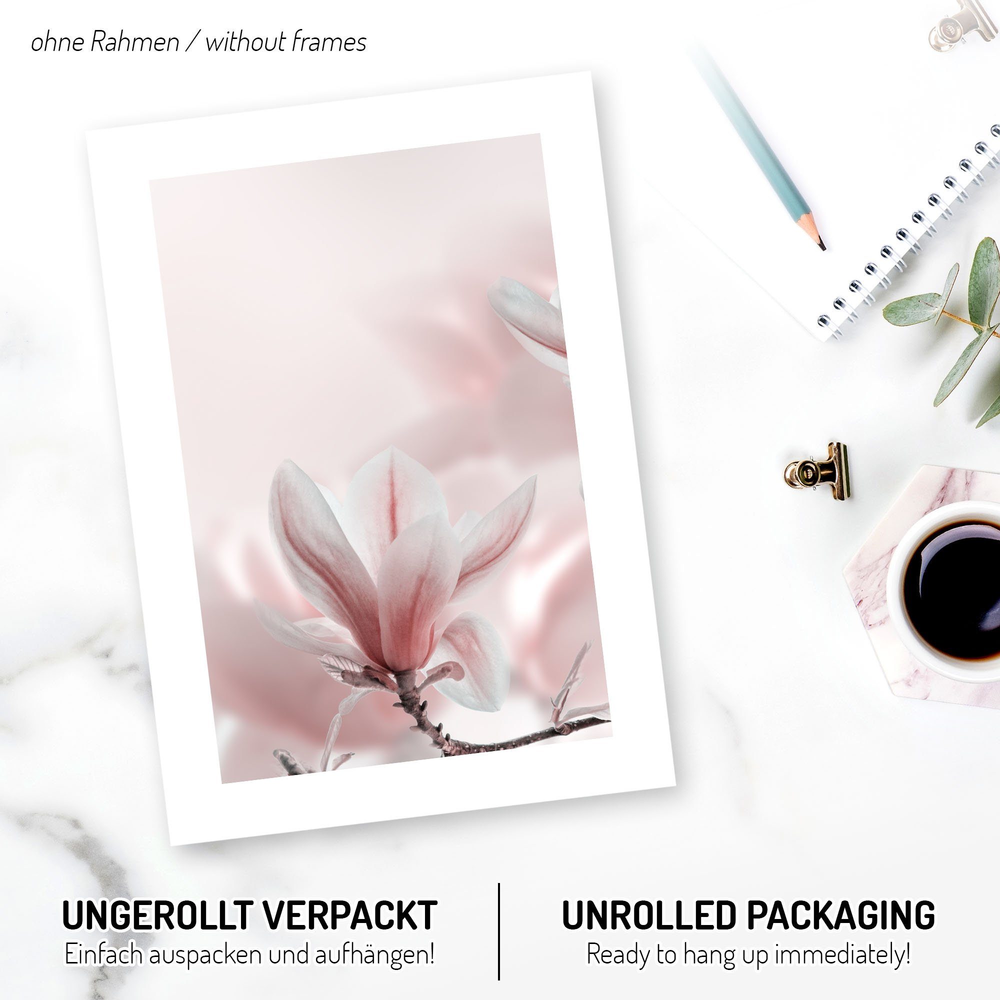 Kreative Feder Poster Premium Set 3-teilig „Magnolie“ optional mit Rahmen, günstig online kaufen